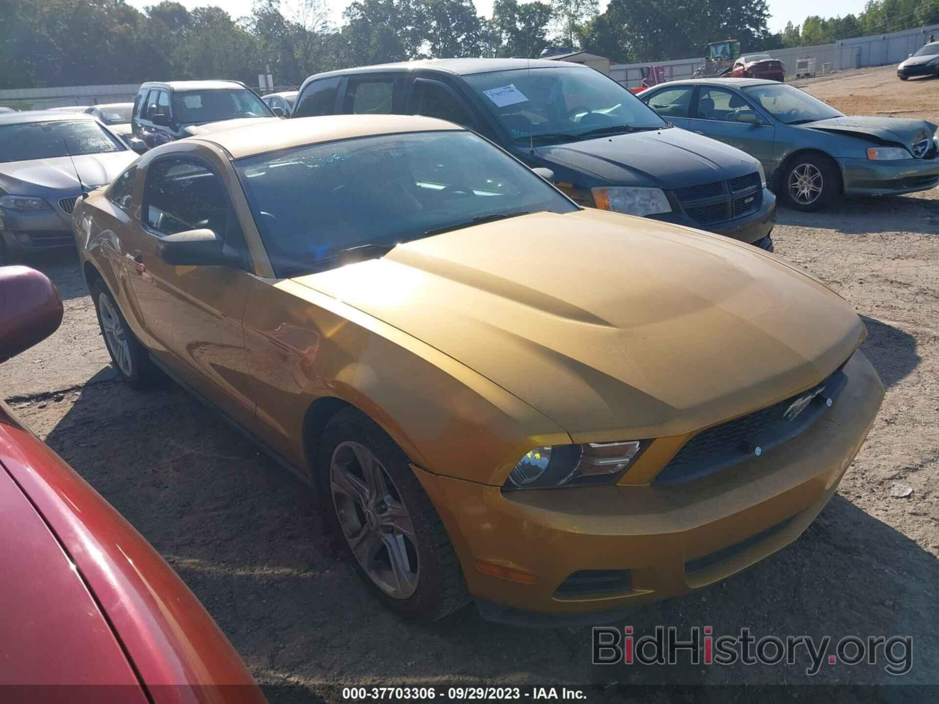 Photo 1ZVBP8AN5A5104708 - FORD MUSTANG 2010