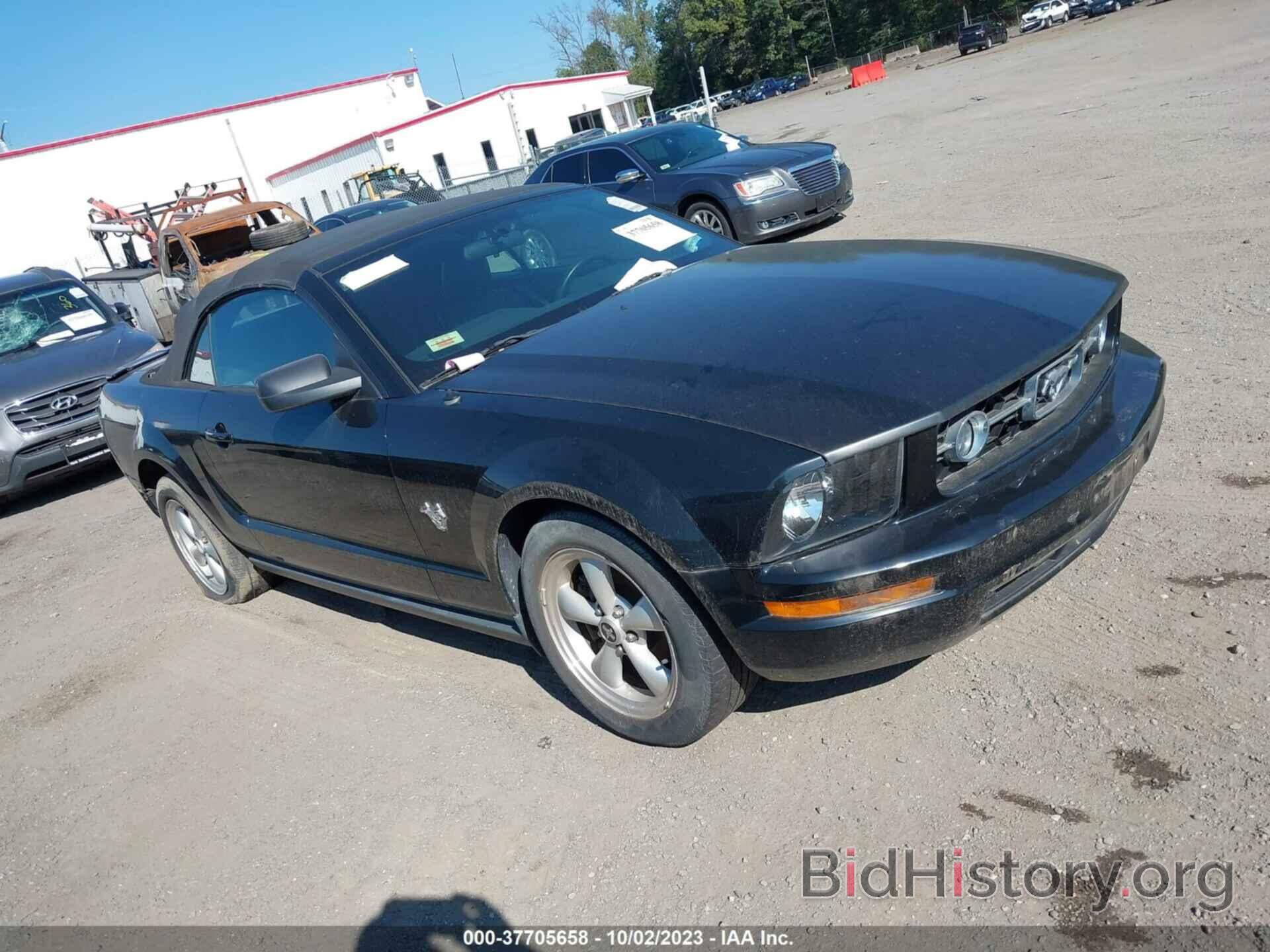 Photo 1ZVHT84N195116531 - FORD MUSTANG 2009