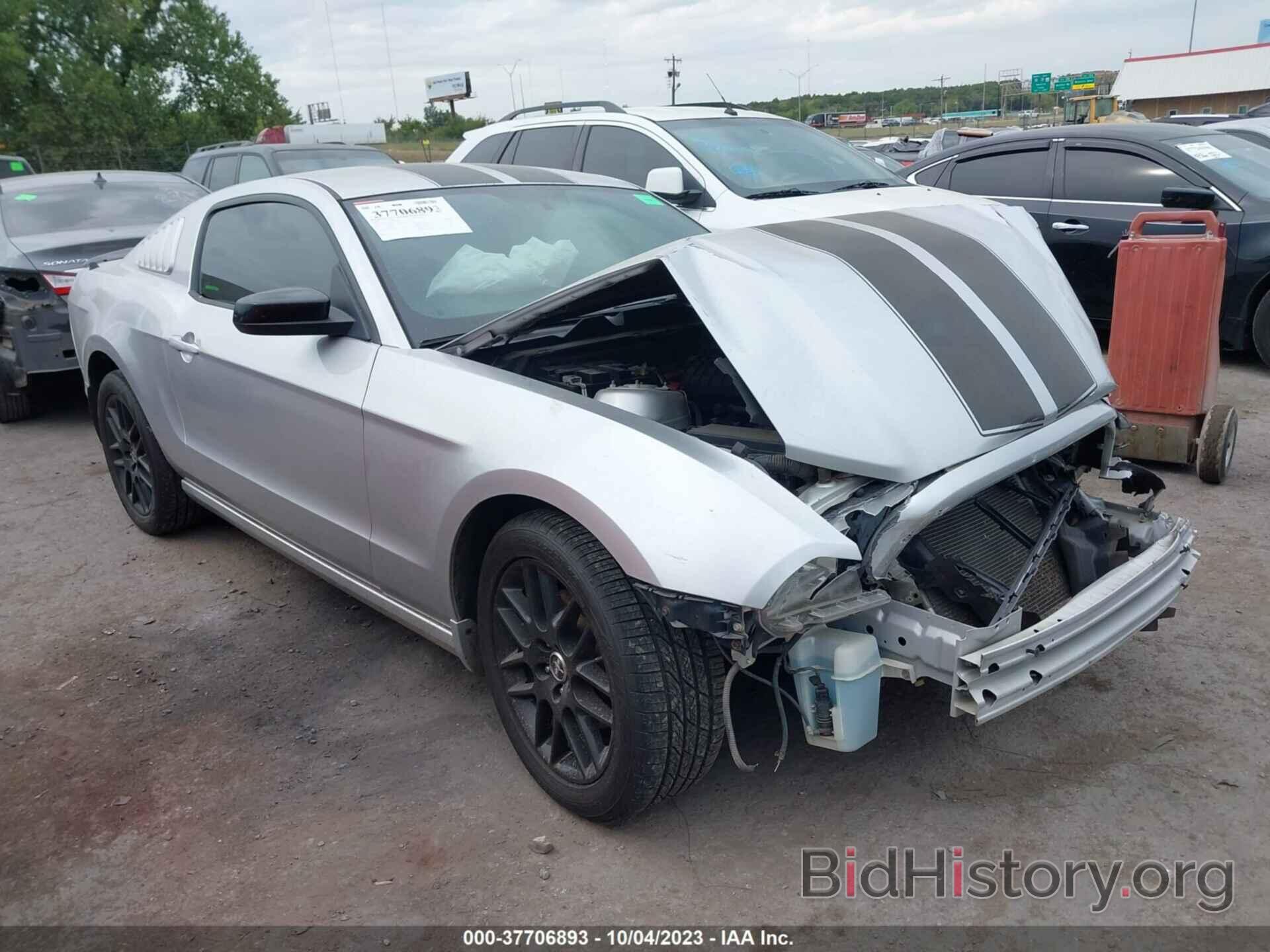 Photo 1ZVBP8AM8E5309677 - FORD MUSTANG 2014