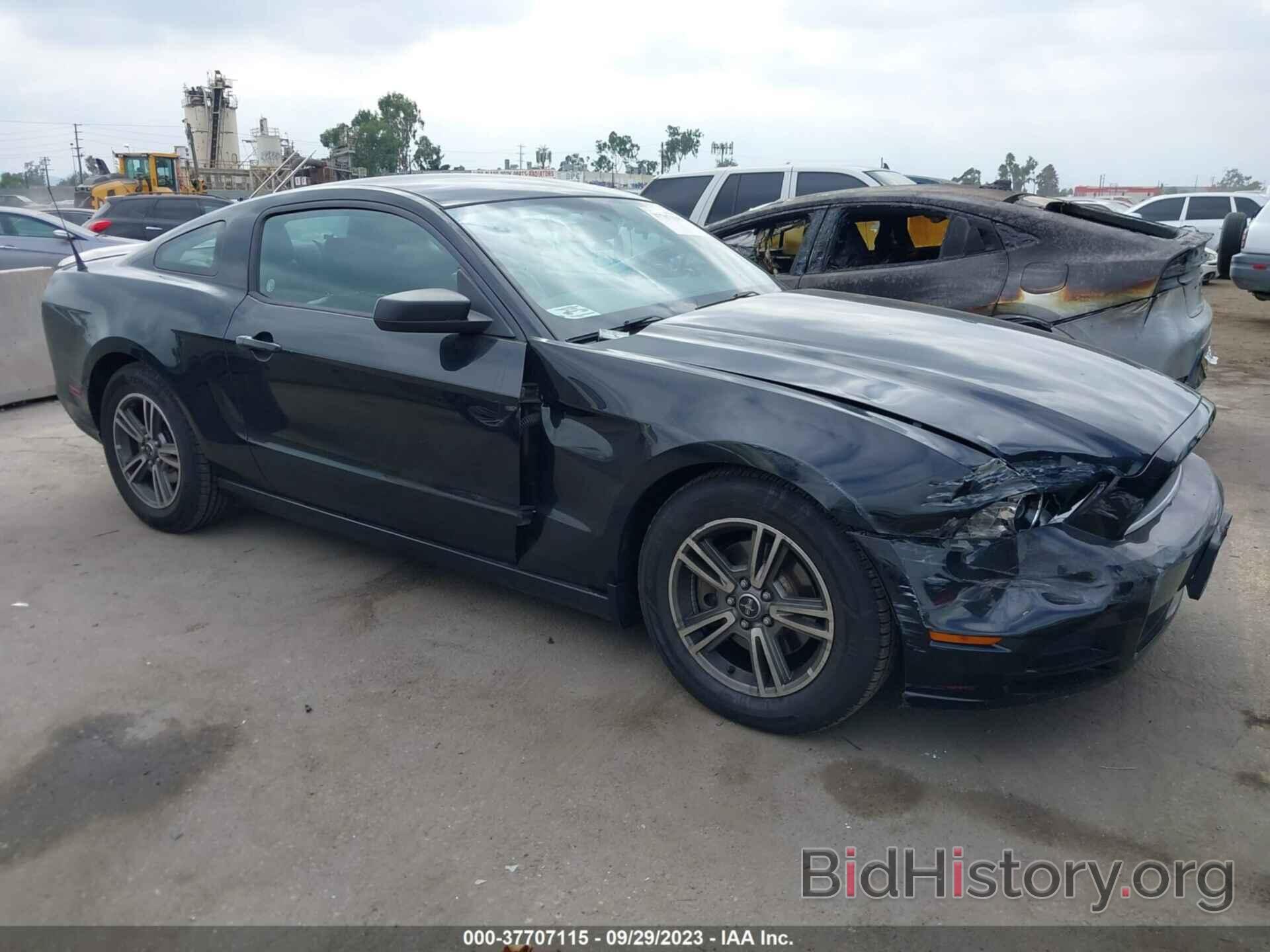 Photo 1ZVBP8AM0D5214240 - FORD MUSTANG 2013