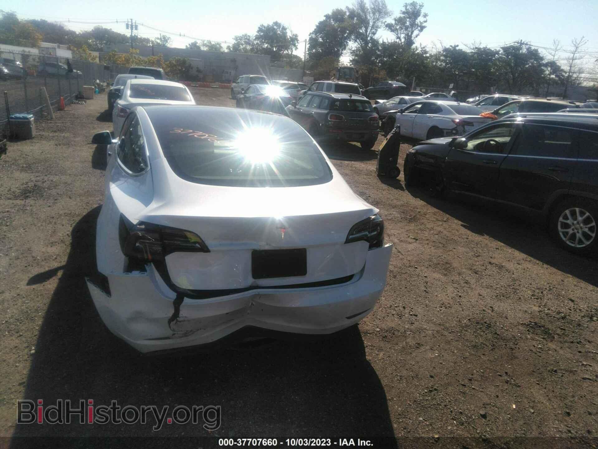 2019 TESLA MODEL 3 - VIN: 5YJ3E1EA7KF446592 - Фото 14