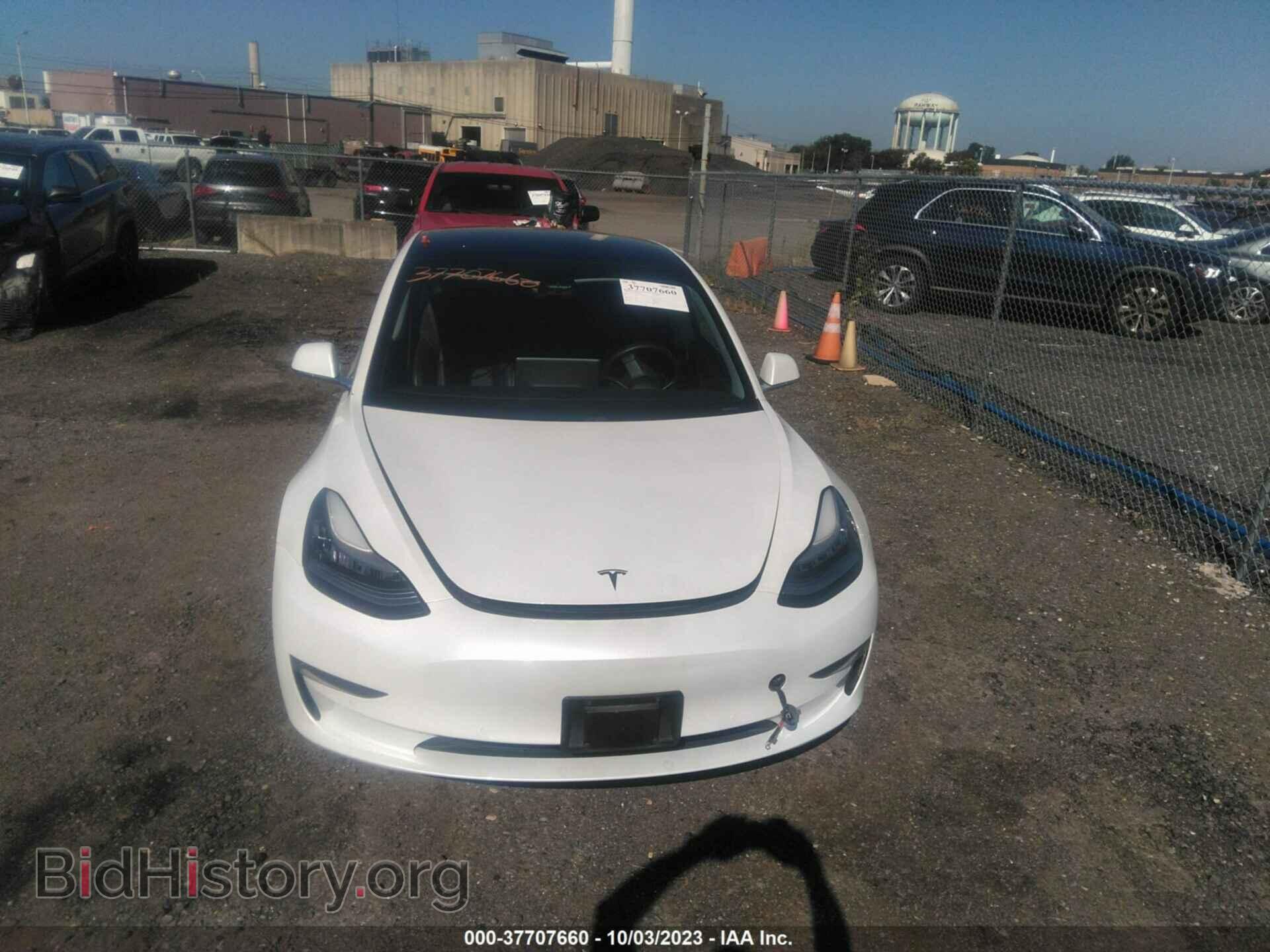 2019 TESLA MODEL 3 - VIN: 5YJ3E1EA7KF446592 - Фото 10