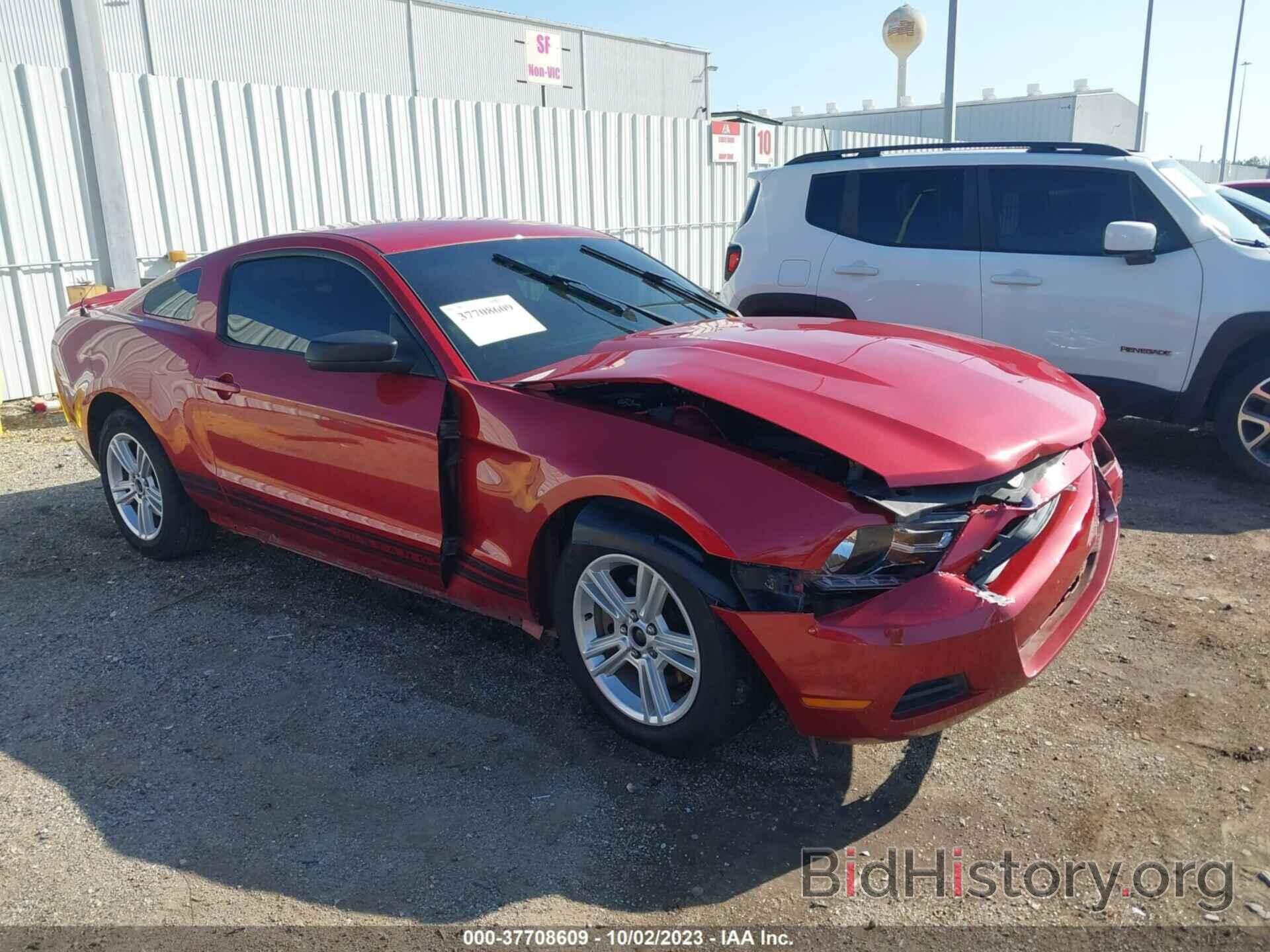 Photo 1ZVBP8AM7C5207722 - FORD MUSTANG 2012