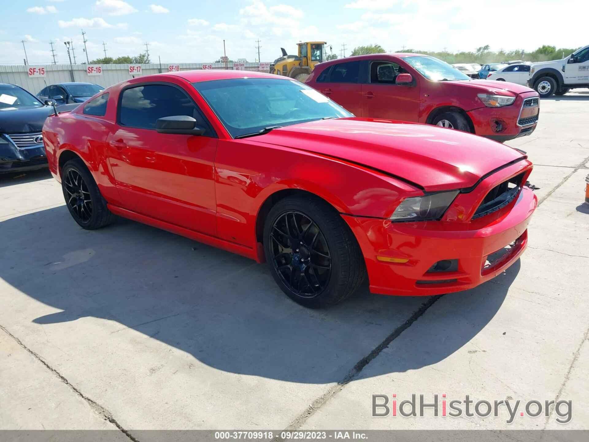 Photo 1ZVBP8AM7E5271164 - FORD MUSTANG 2014
