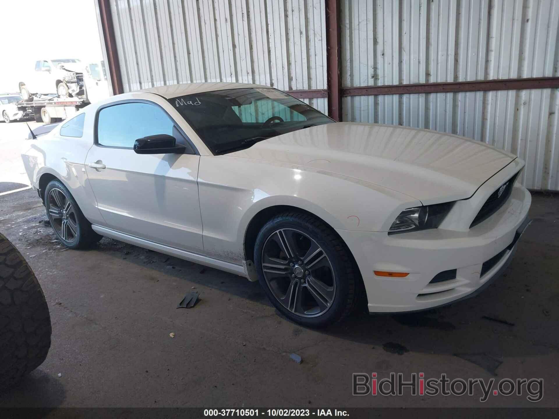 Photo 1ZVBP8AM4D5275669 - FORD MUSTANG 2013