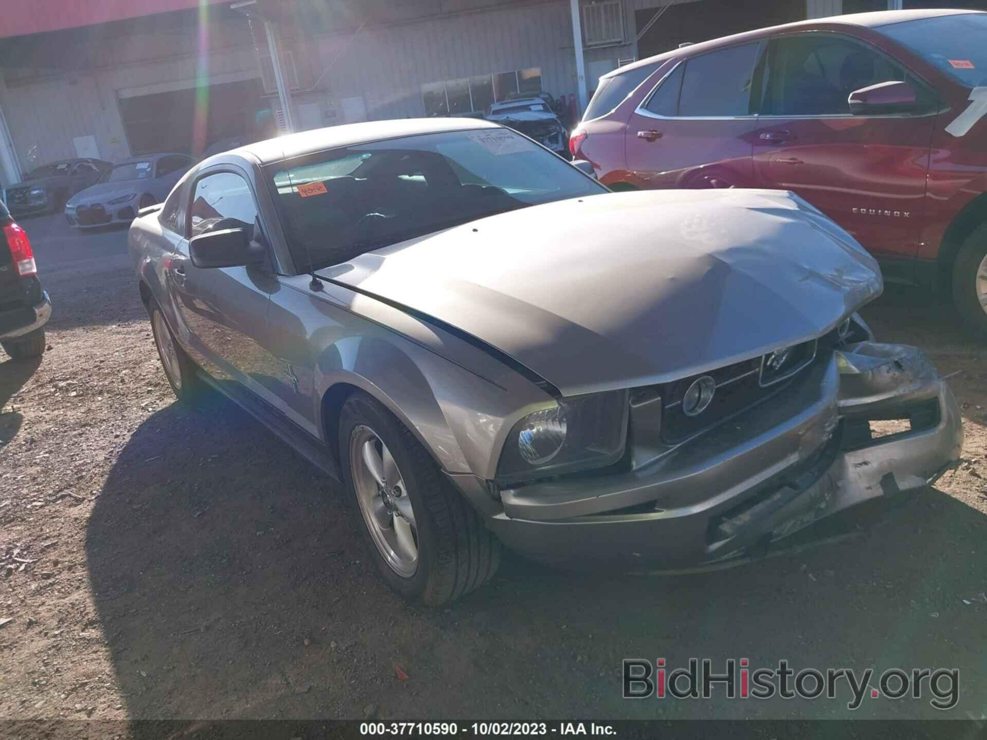 Photo 1ZVHT80N385136591 - FORD MUSTANG 2008