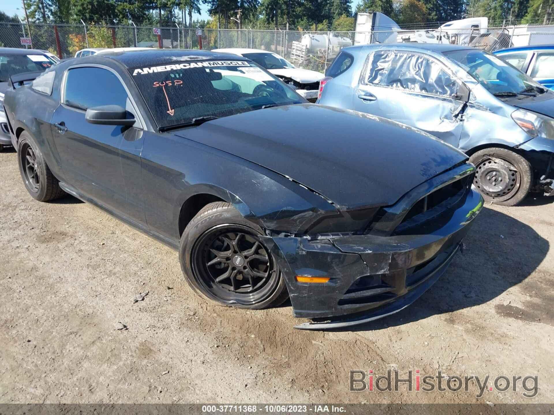 Photo 1ZVBP8AM7E5277921 - FORD MUSTANG 2014