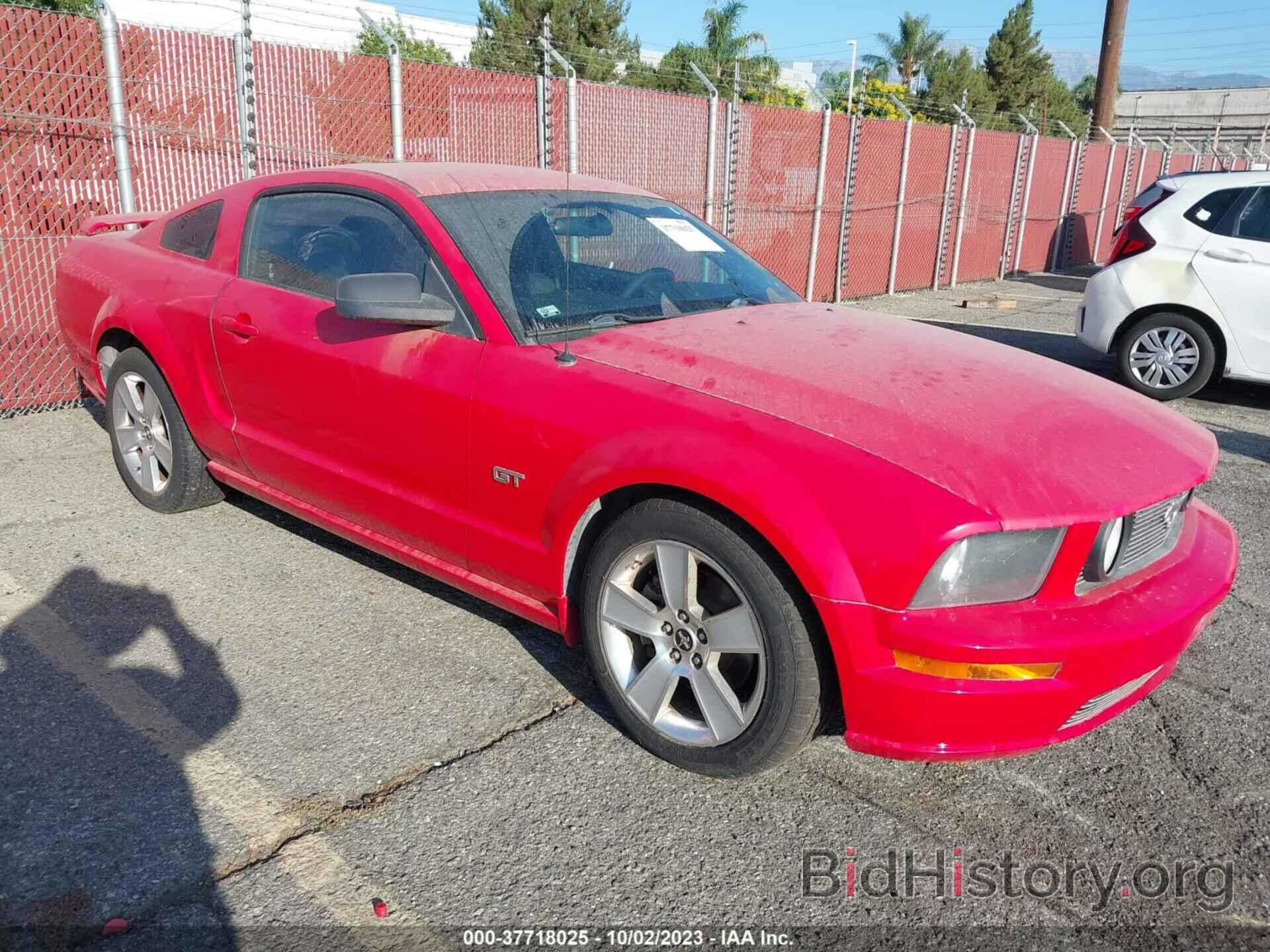 Photo 1ZVHT82H765187001 - FORD MUSTANG 2006