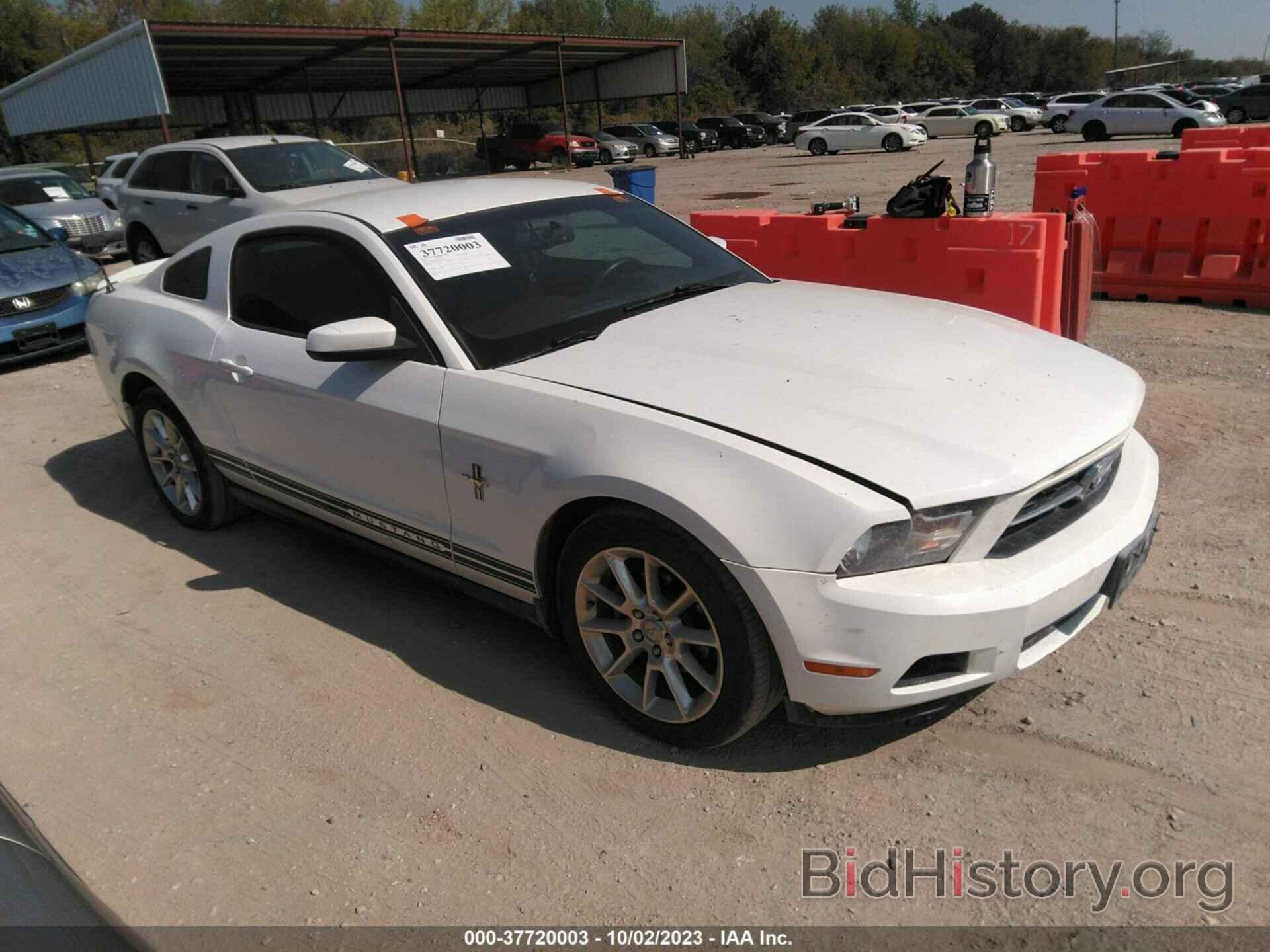 Photo 1ZVBP8AN8A5123897 - FORD MUSTANG 2010