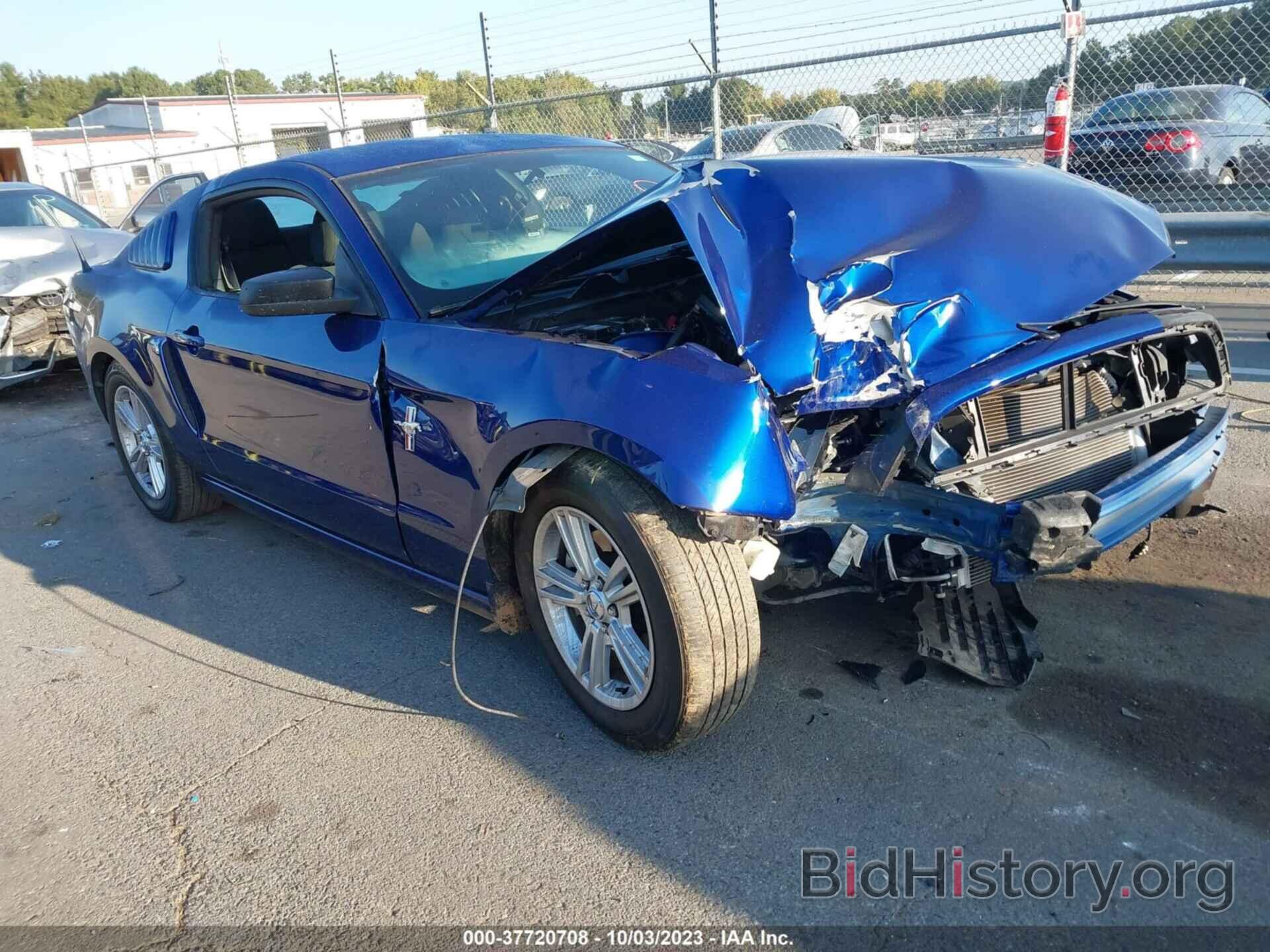 Photo 1ZVBP8AM2E5325129 - FORD MUSTANG 2014