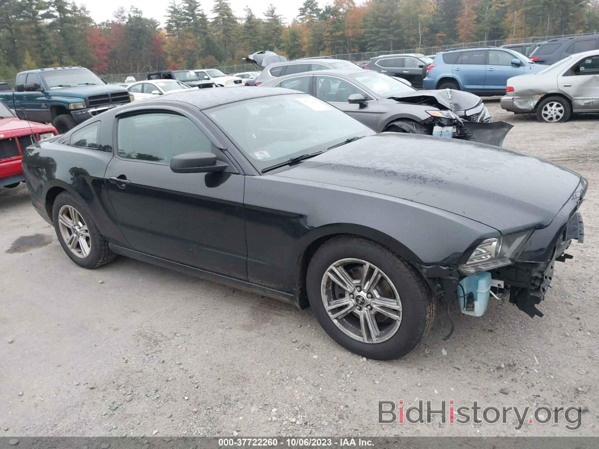 Photo 1ZVBP8AM5D5216937 - FORD MUSTANG 2013
