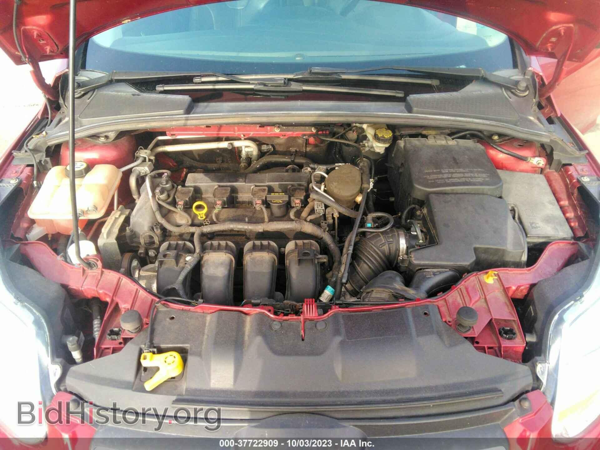 2013 FORD FOCUS - VIN: 1FADP3F21DL241499 - Фото 10