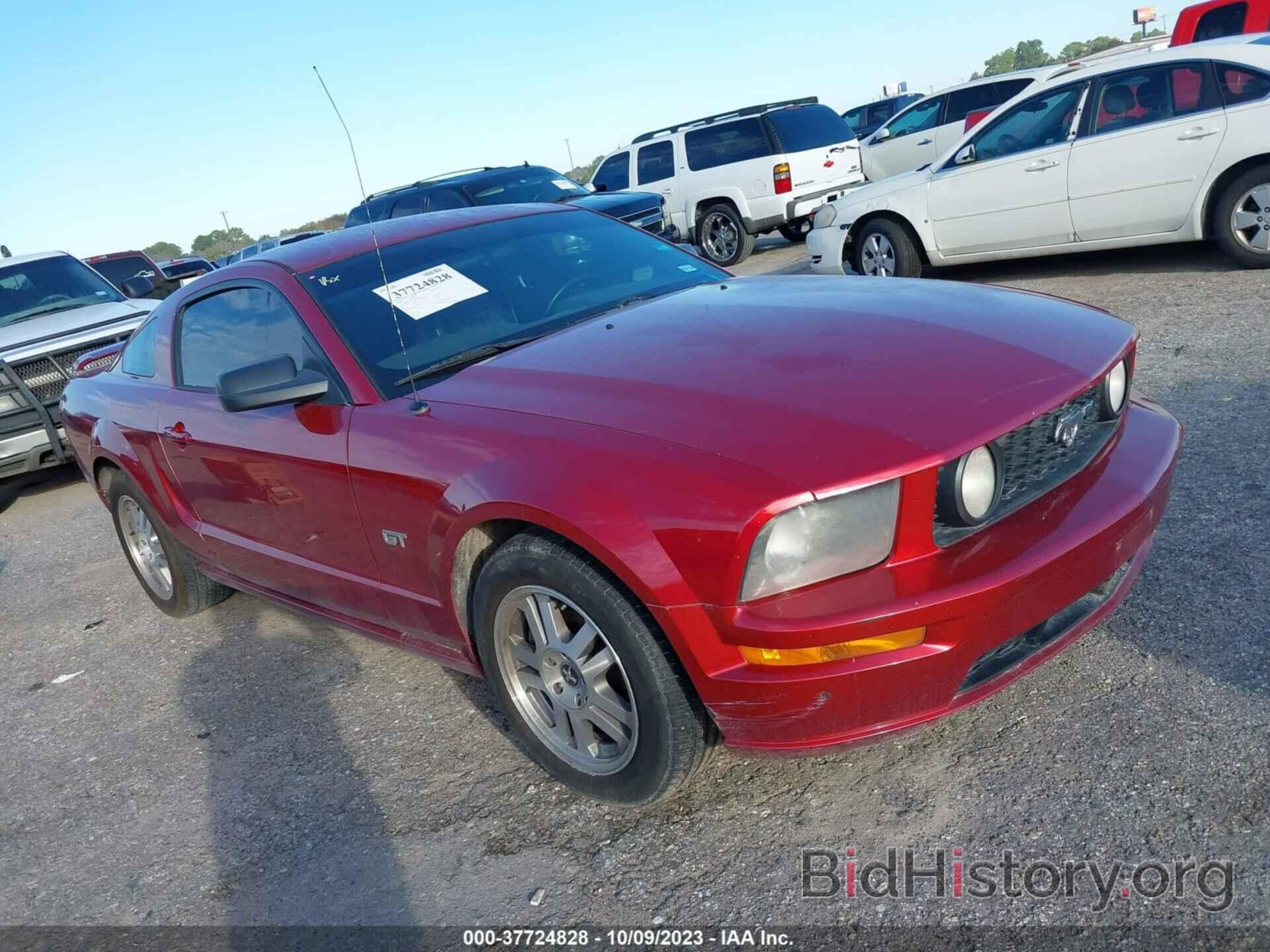 Photo 1ZVFT82H365186788 - FORD MUSTANG 2006