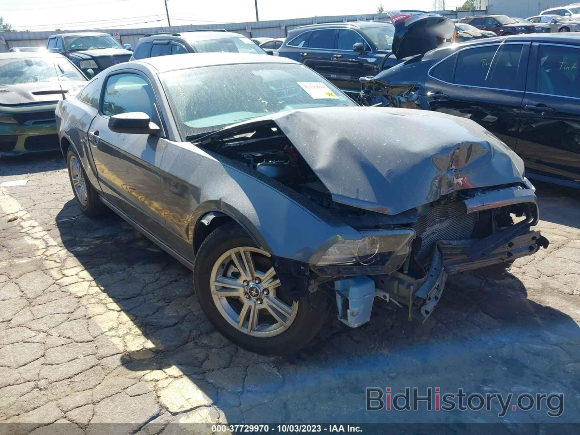 Photo 1ZVBP8AM2D5270387 - FORD MUSTANG 2013