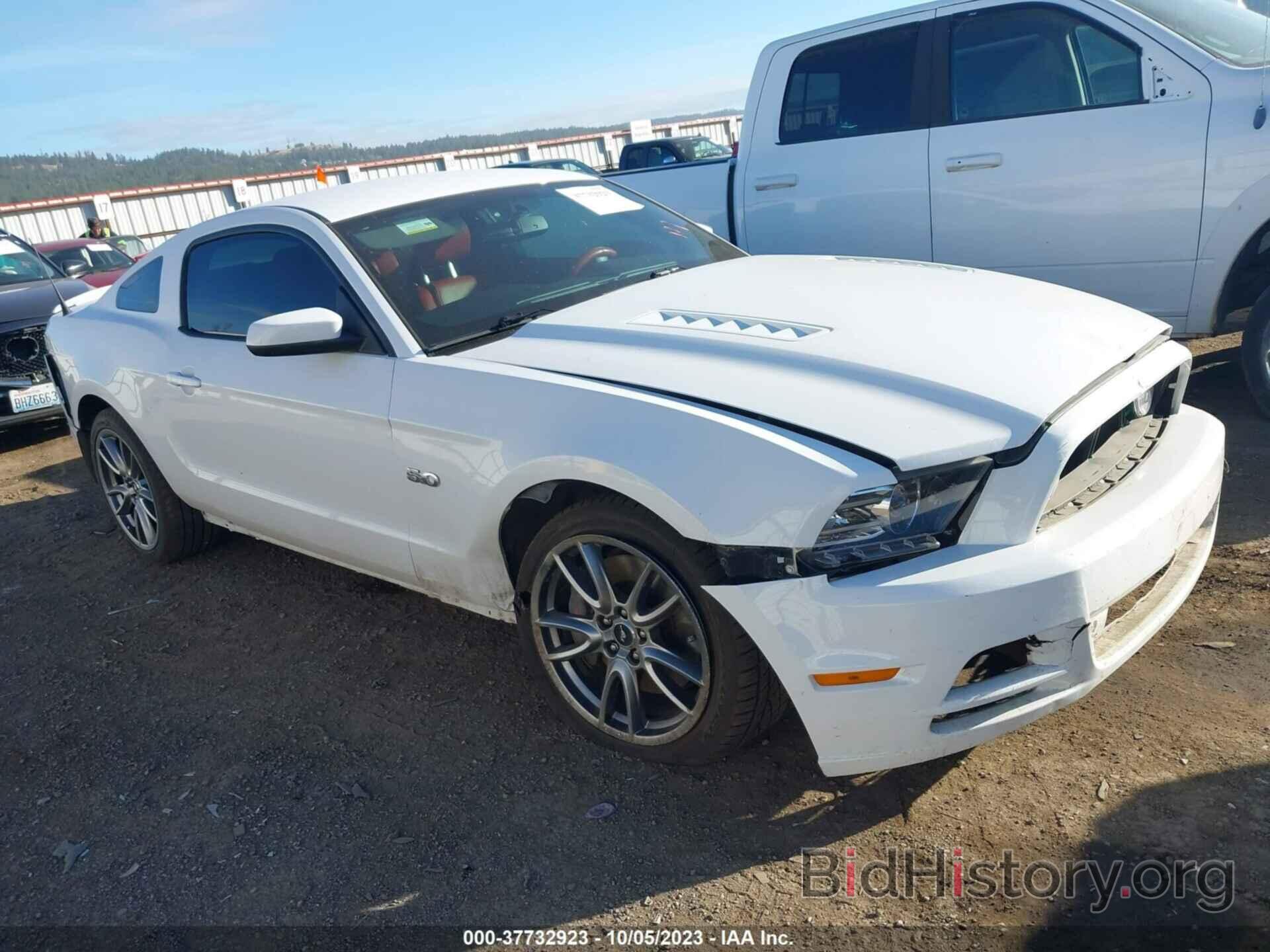 Photo 1ZVBP8CF7E5309605 - FORD MUSTANG 2014