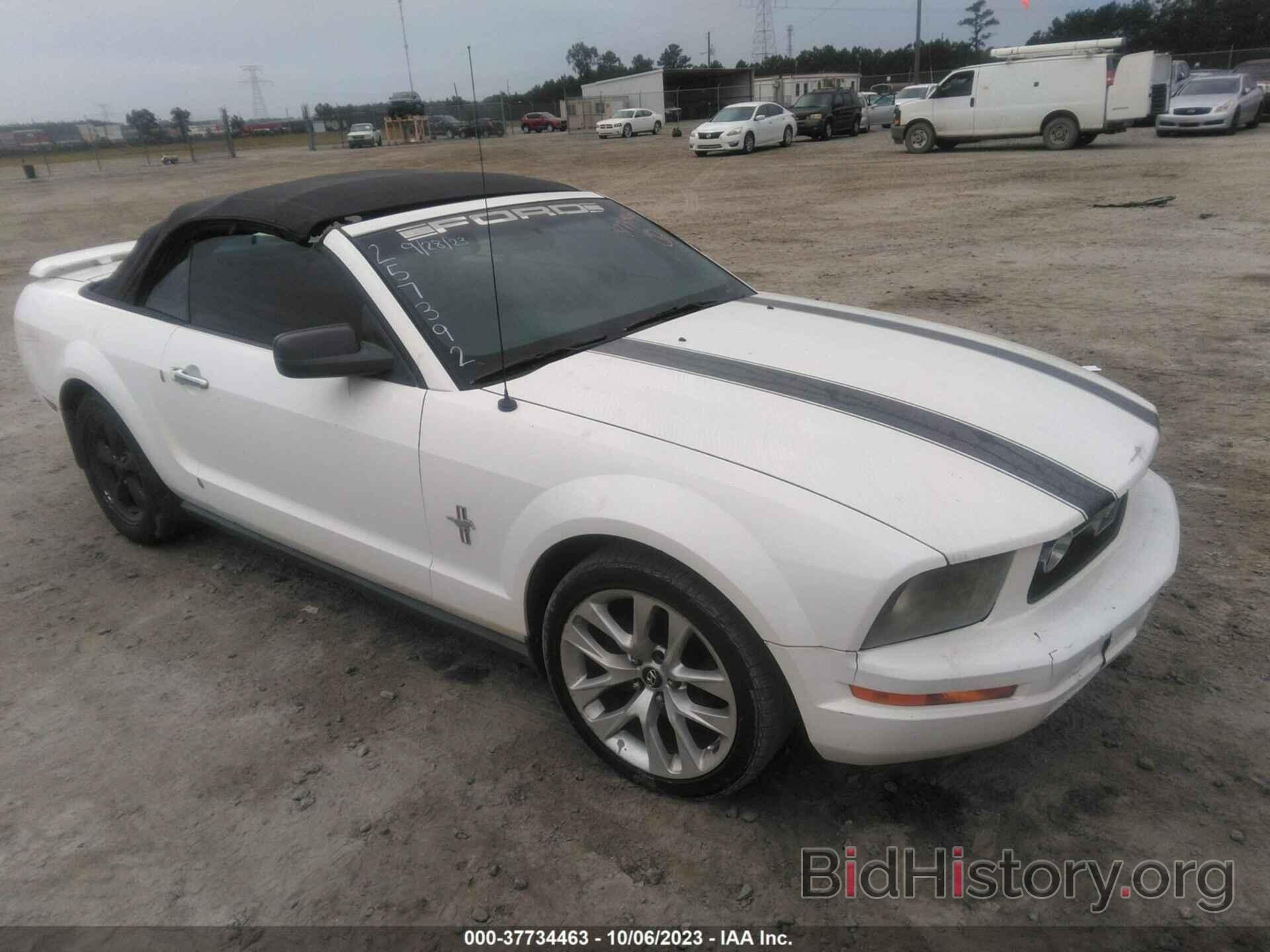 Photo 1ZVHT84N065257392 - FORD MUSTANG 2006