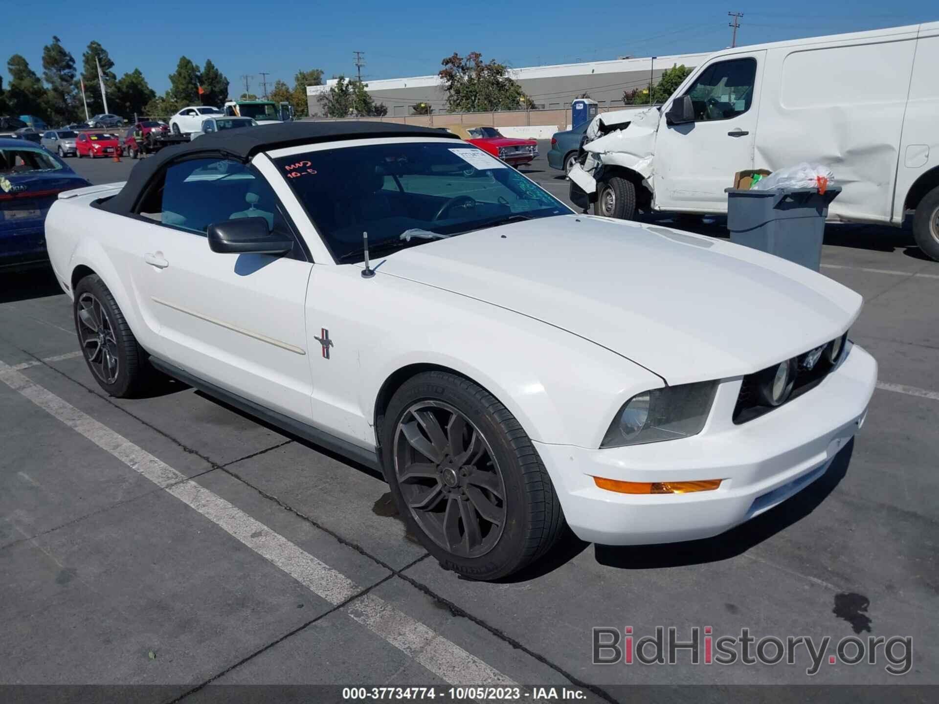 Photo 1ZVHT84N785146017 - FORD MUSTANG 2008