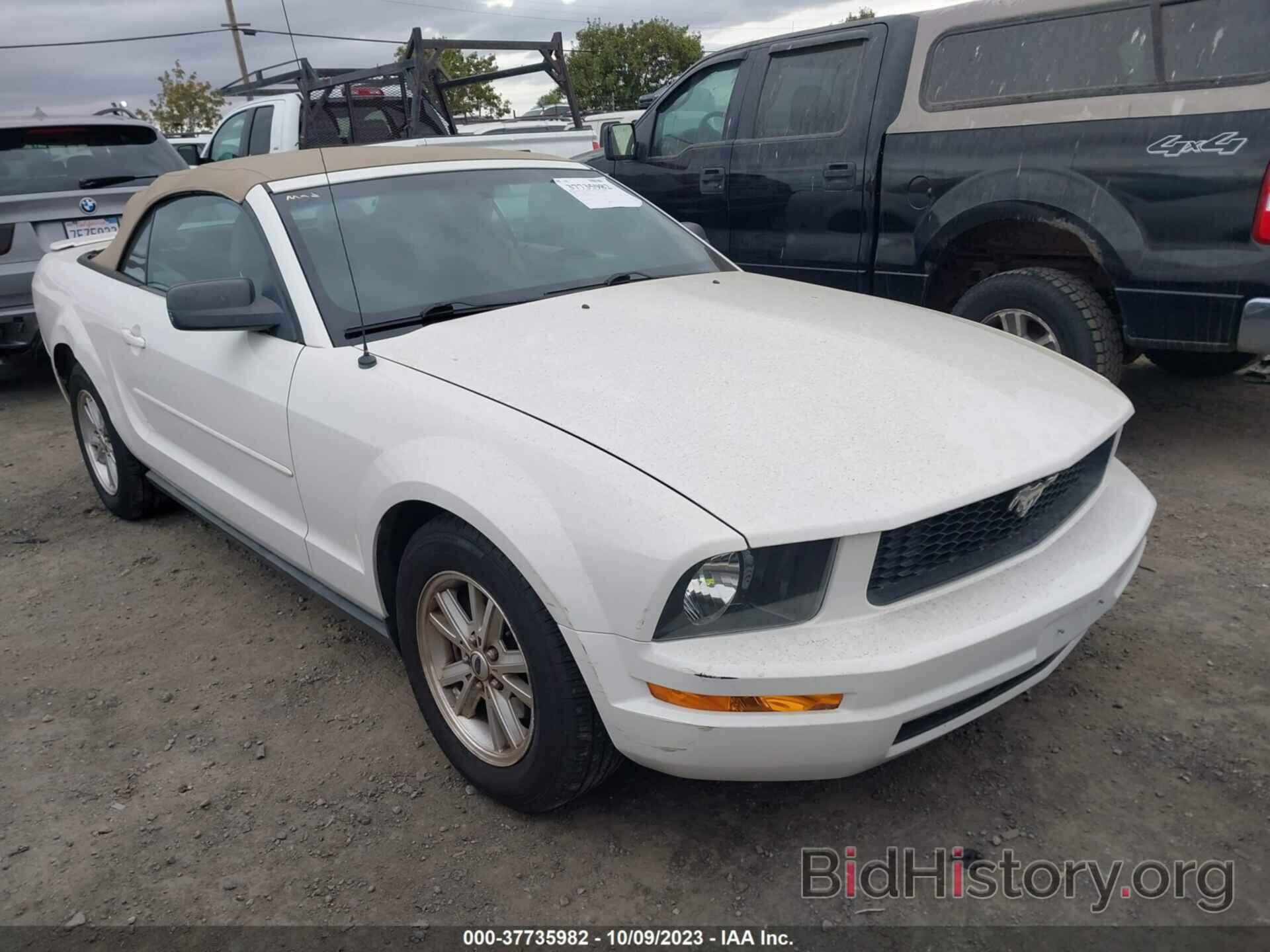 Photo 1ZVHT84N885165546 - FORD MUSTANG 2008