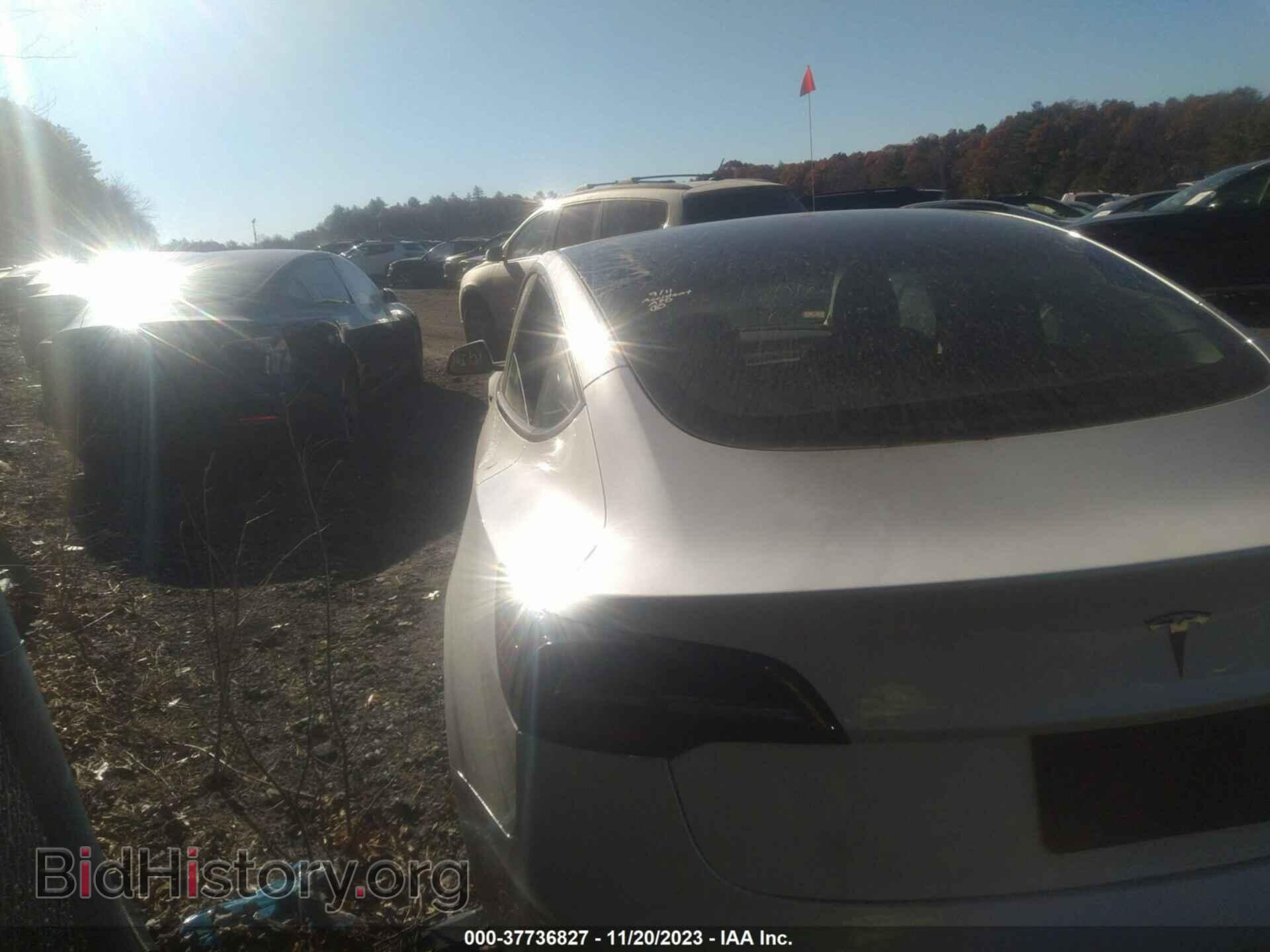 2023 TESLA MODEL 3 - VIN: 5YJ3E1EA9PF475275 - Фото 3