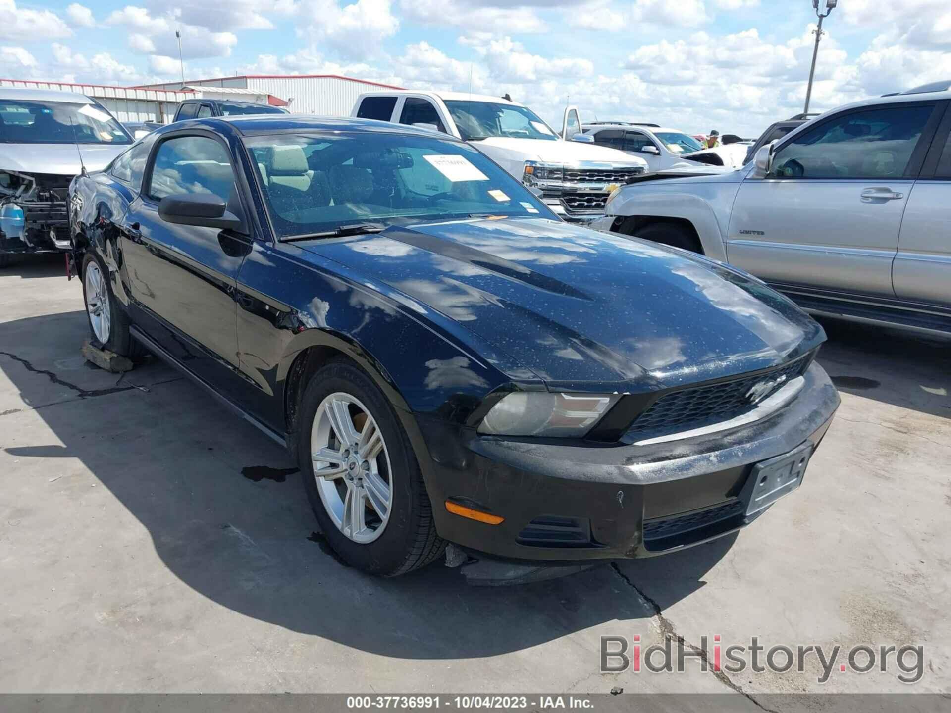Photo 1ZVBP8AM2C5256309 - FORD MUSTANG 2012