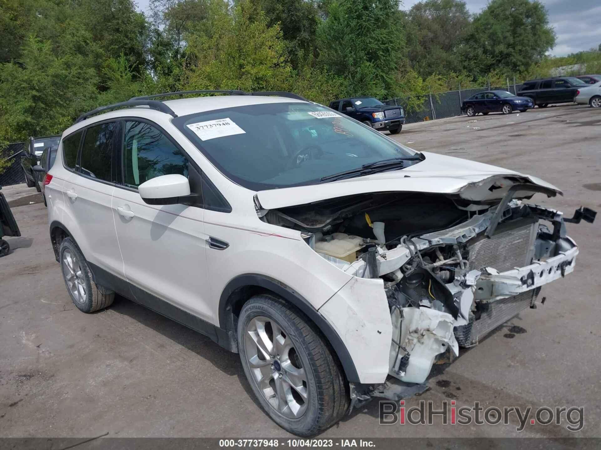 Photo 1FMCU0GX3DUB93940 - FORD ESCAPE 2013