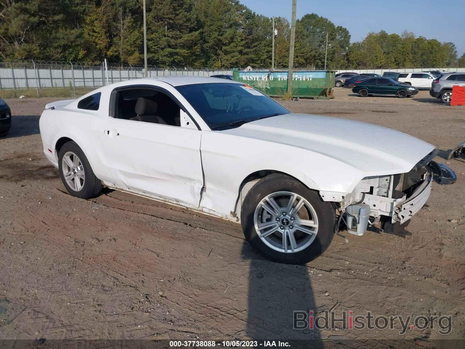 Photo 1ZVBP8AM8E5308450 - FORD MUSTANG 2014