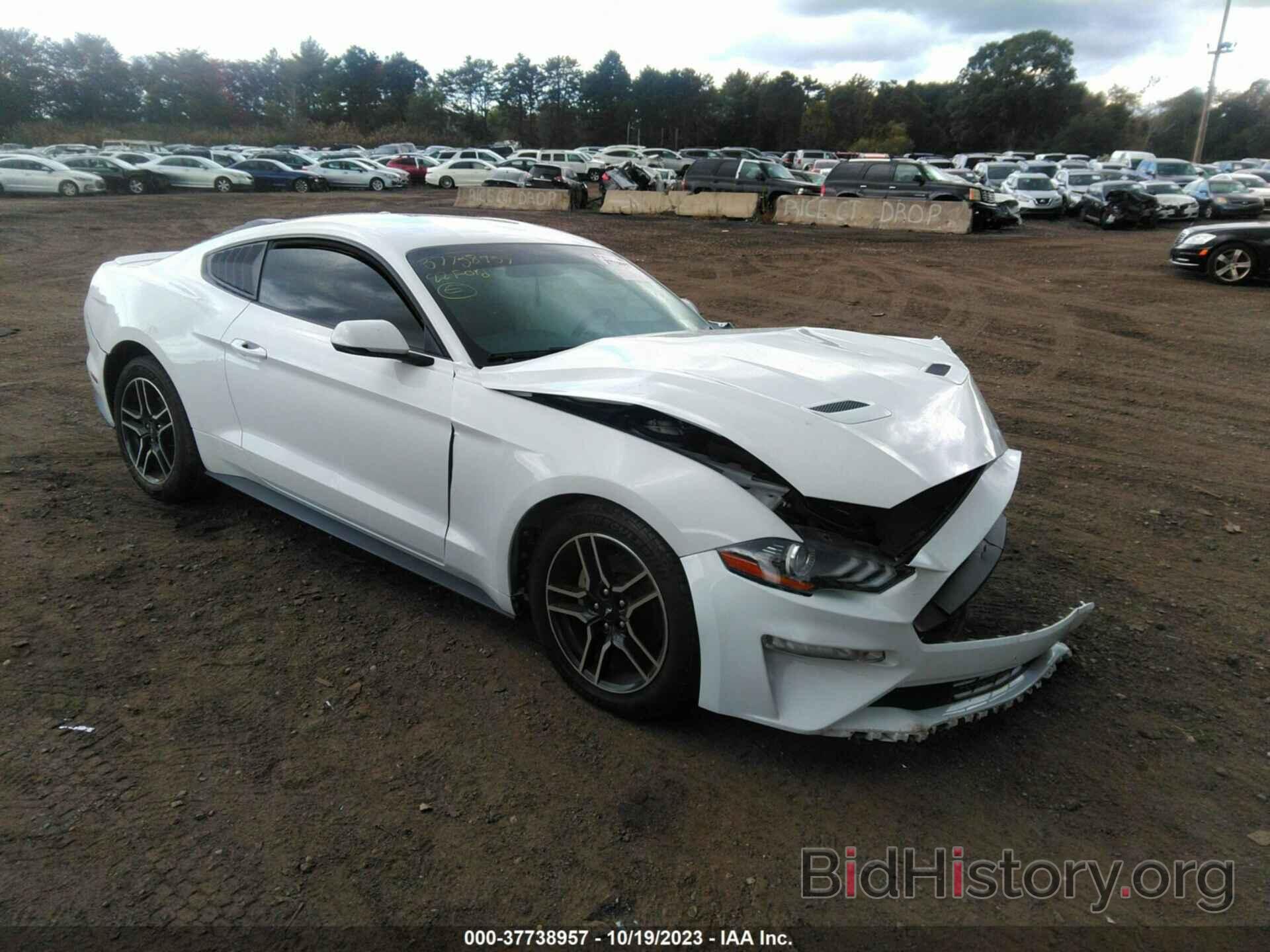 Photo 1FA6P8TH7L5137245 - FORD MUSTANG 2020