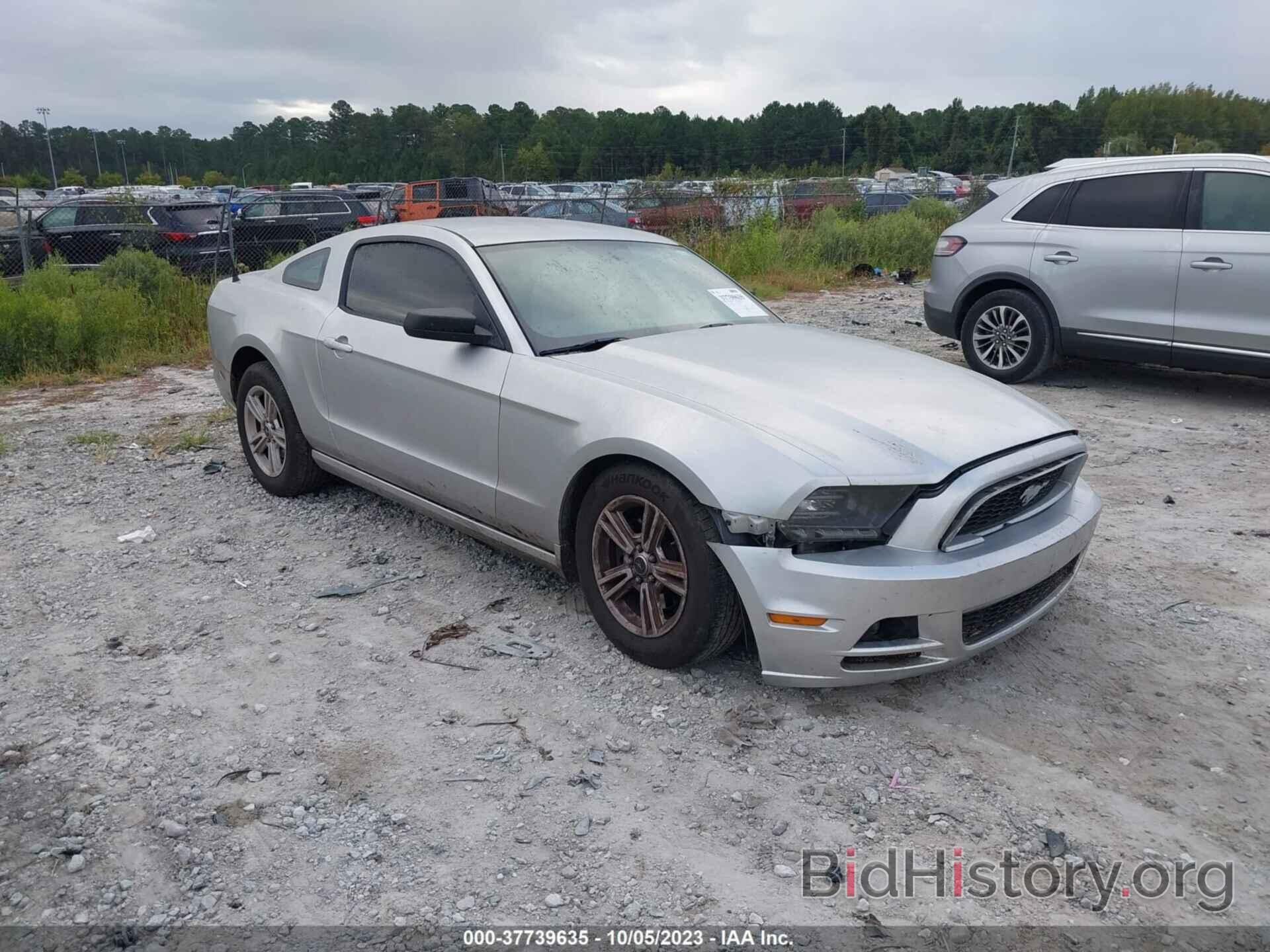Photo 1ZVBP8AM1E5276375 - FORD MUSTANG 2014