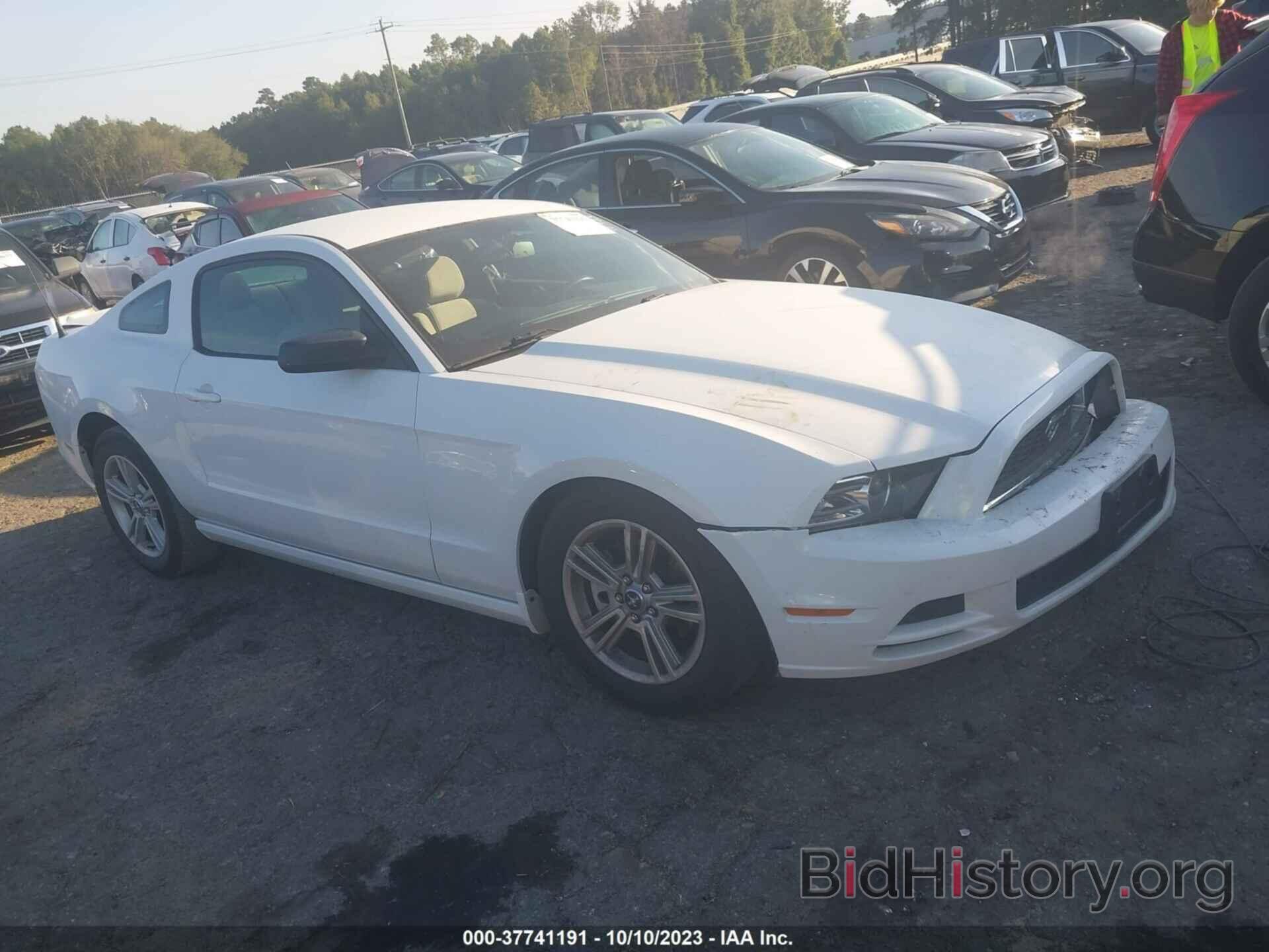 Photo 1ZVBP8AM0E5220945 - FORD MUSTANG 2014