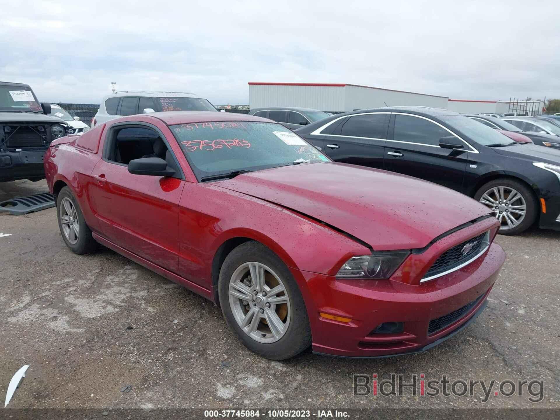 Photo 1ZVBP8AM1E5275324 - FORD MUSTANG 2014