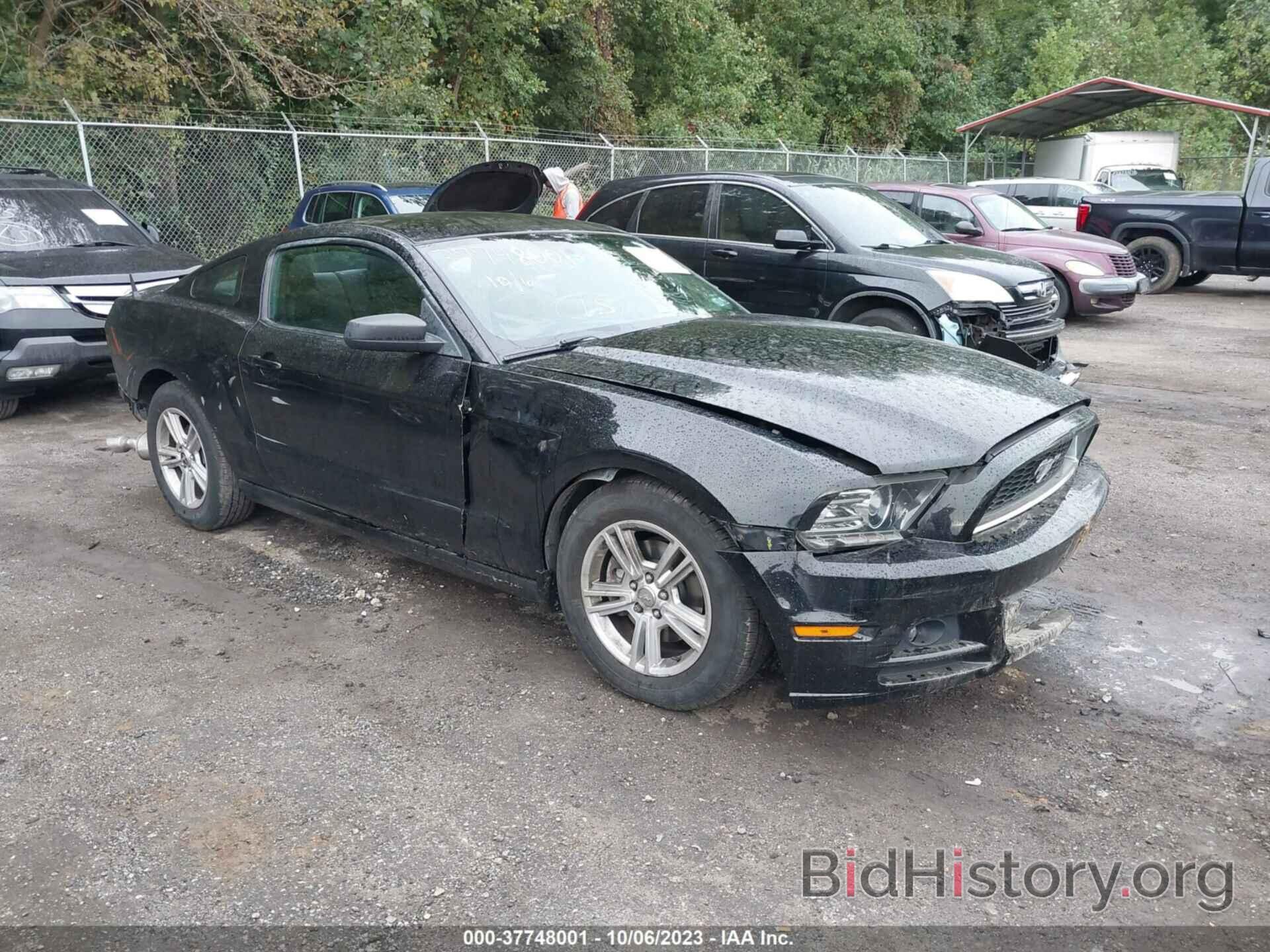 Photo 1ZVBP8AM6D5238588 - FORD MUSTANG 2013