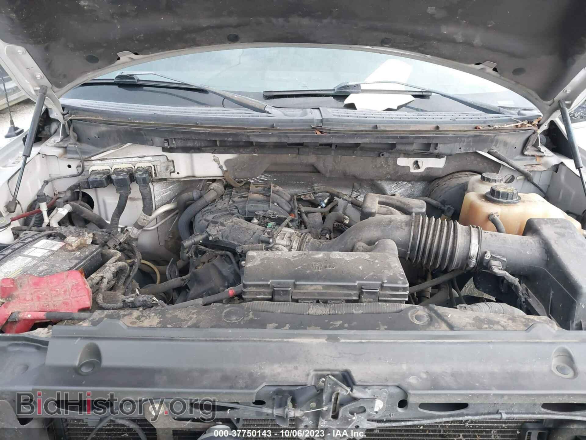 2011 FORD F-150 - VIN: 1FTEW1CM2BFB81384 - Фото 10