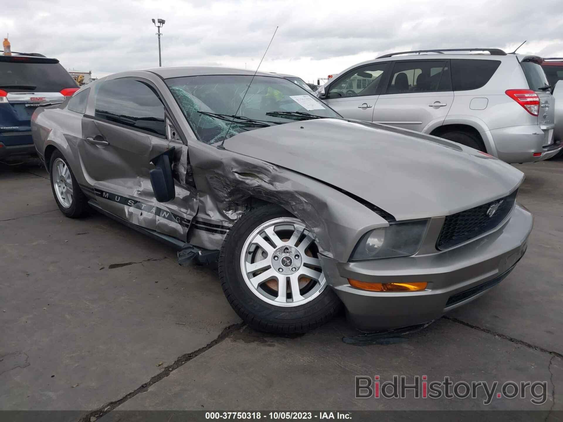 Photo 1ZVHT80N185148643 - FORD MUSTANG 2008