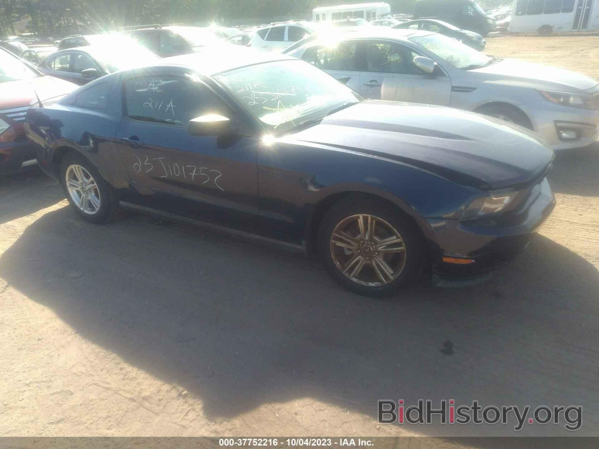 Photo 1ZVBP8AN5A5135912 - FORD MUSTANG 2010