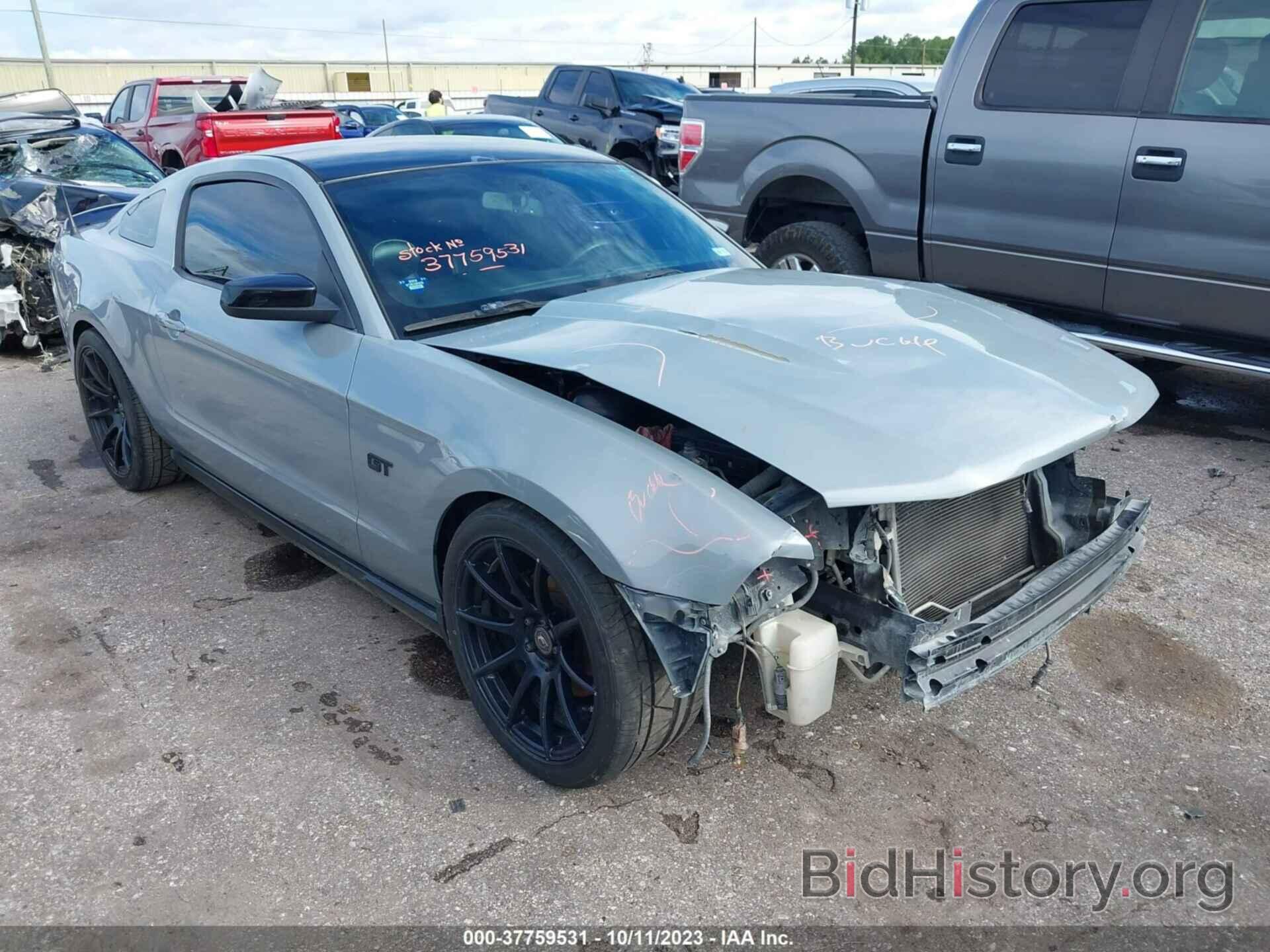Photo 1ZVBP8CH1A5176206 - FORD MUSTANG 2010