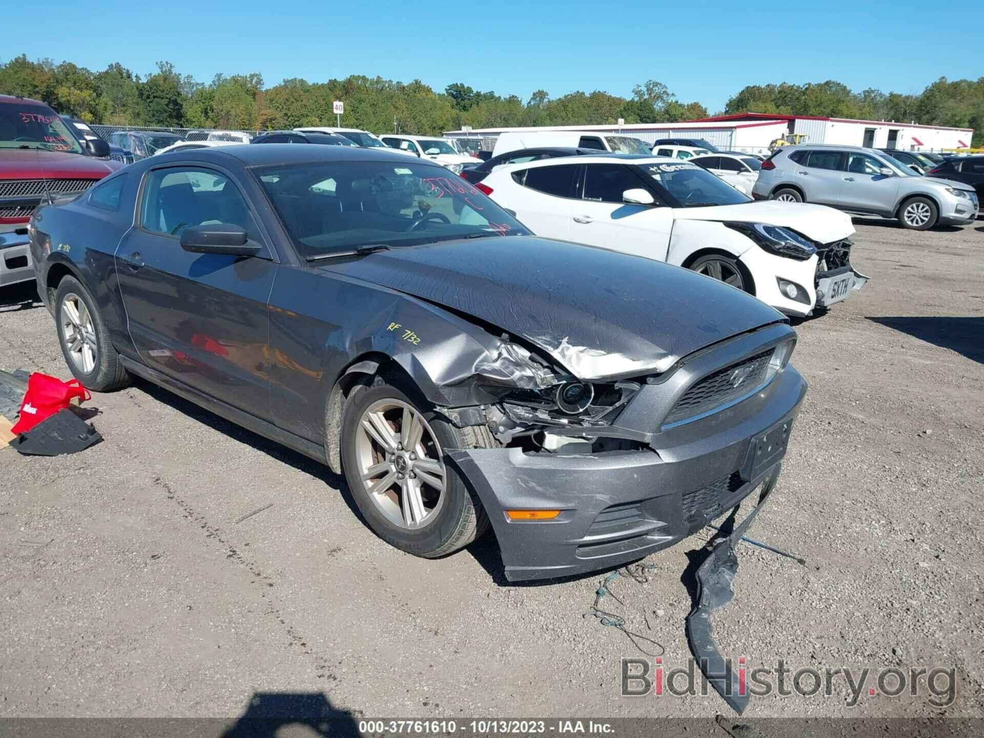 Photo 1ZVBP8AM3E5244883 - FORD MUSTANG 2014
