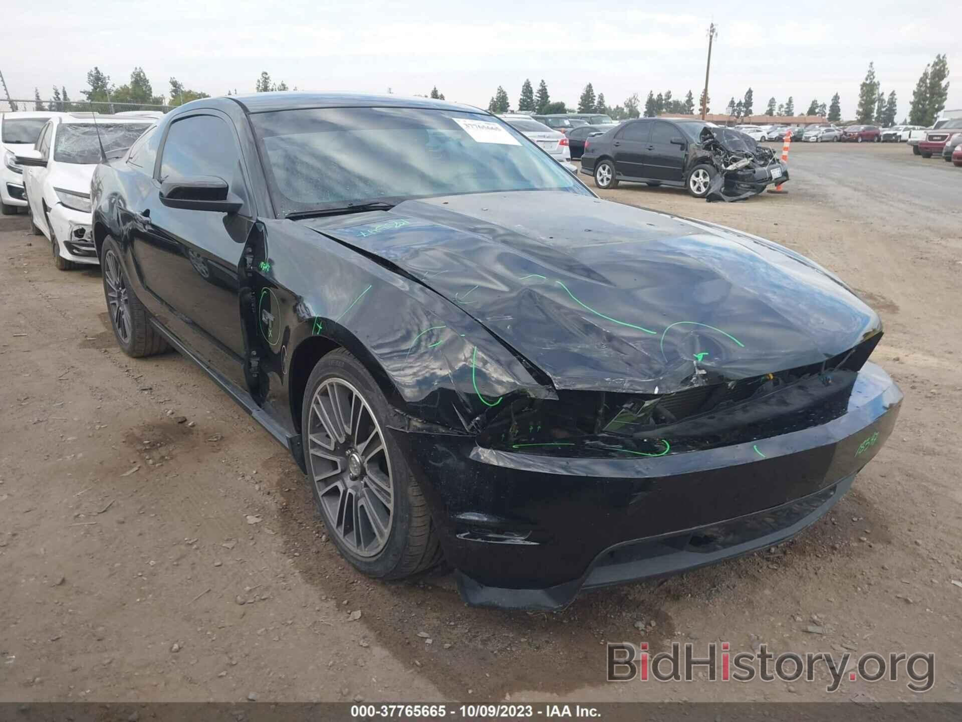 Photo 1ZVBP8CH3A5161769 - FORD MUSTANG 2010