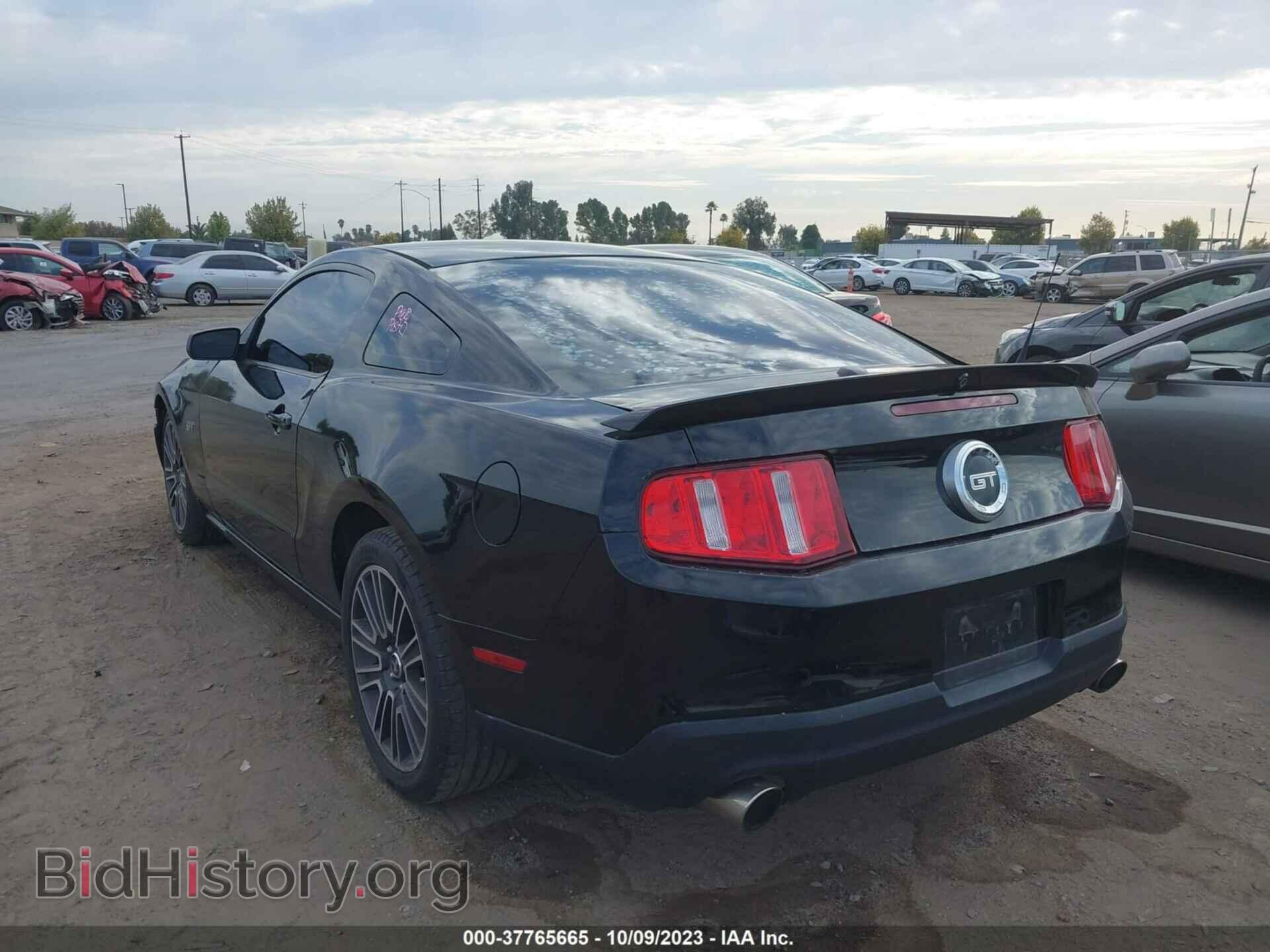 2010 FORD MUSTANG - VIN: 1ZVBP8CH3A5161769 - Фото 3