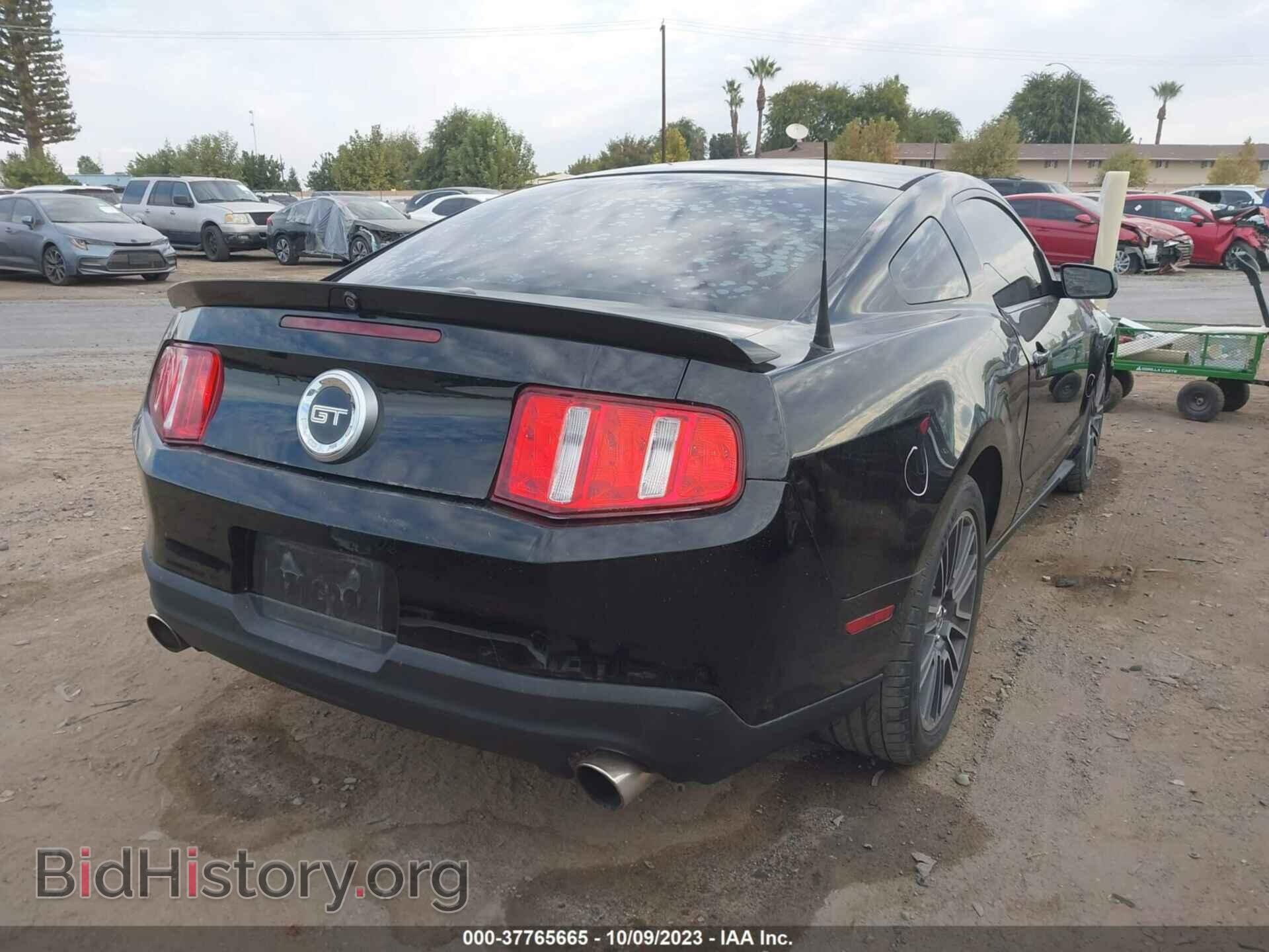 2010 FORD MUSTANG - VIN: 1ZVBP8CH3A5161769 - Фото 4