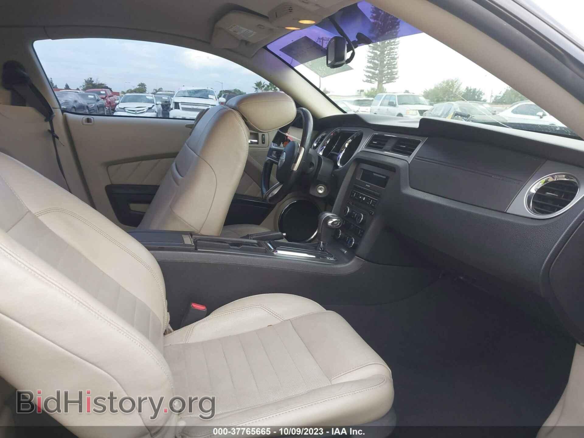 2010 FORD MUSTANG - VIN: 1ZVBP8CH3A5161769 - Фото 5