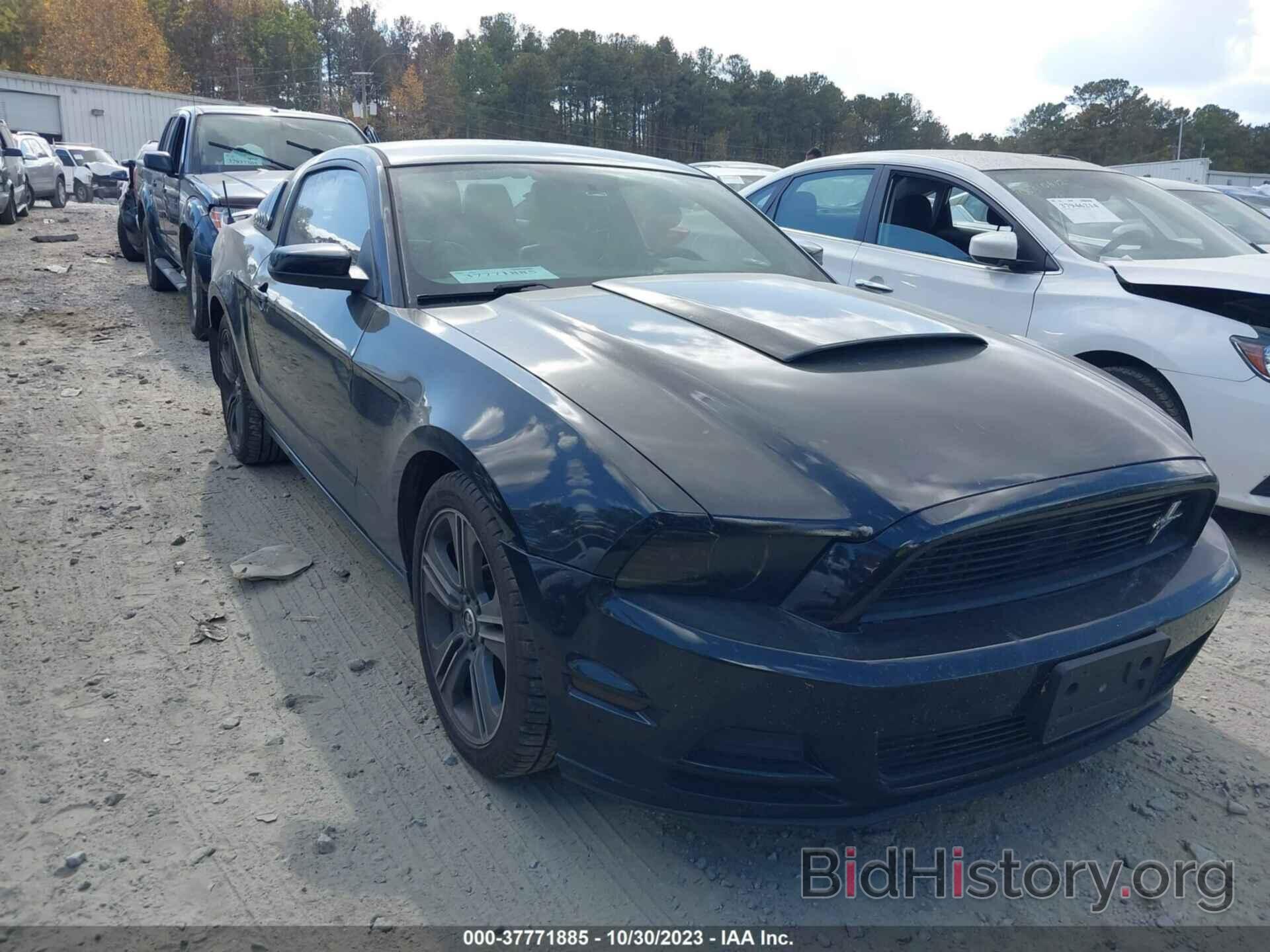 Photo 1ZVBP8AM1D5241219 - FORD MUSTANG 2013