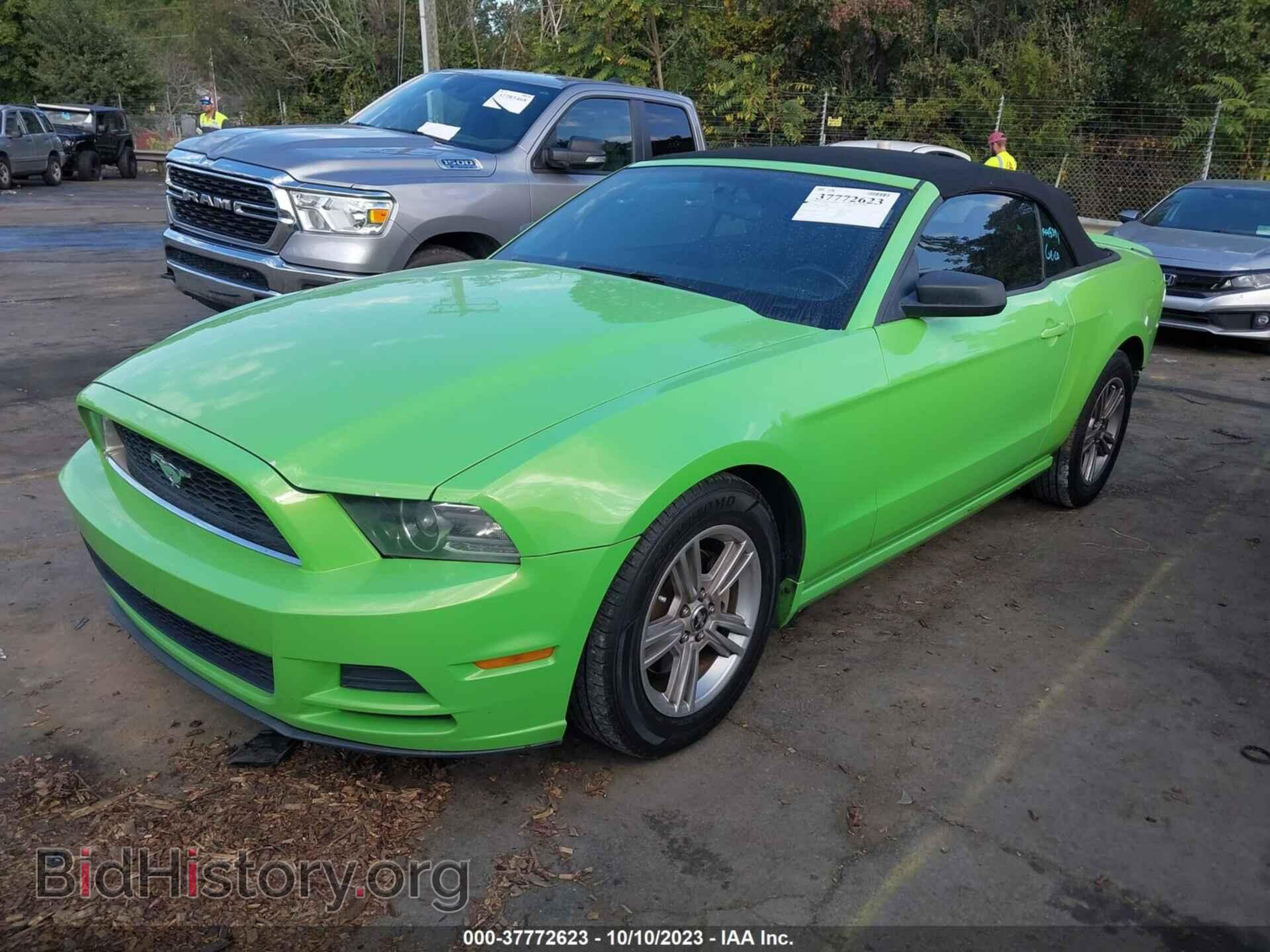 2013 FORD MUSTANG - VIN: 1ZVBP8EM2D5204660 - Фото 2