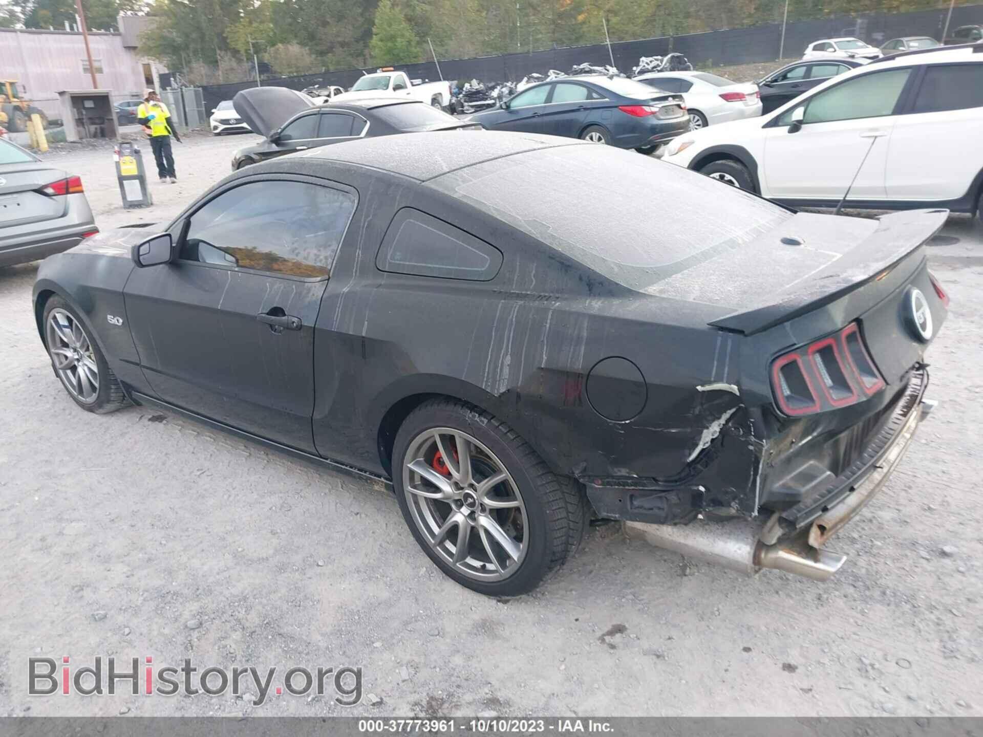 2013 FORD MUSTANG - VIN: 1ZVBP8CF8D5280789 - Фото 3