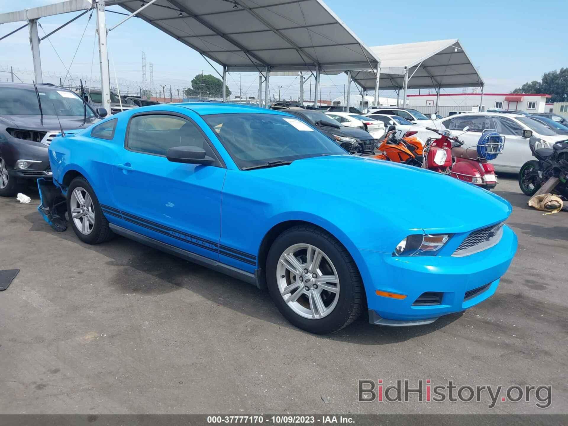 Photo 1ZVBP8AN9A5164443 - FORD MUSTANG 2010