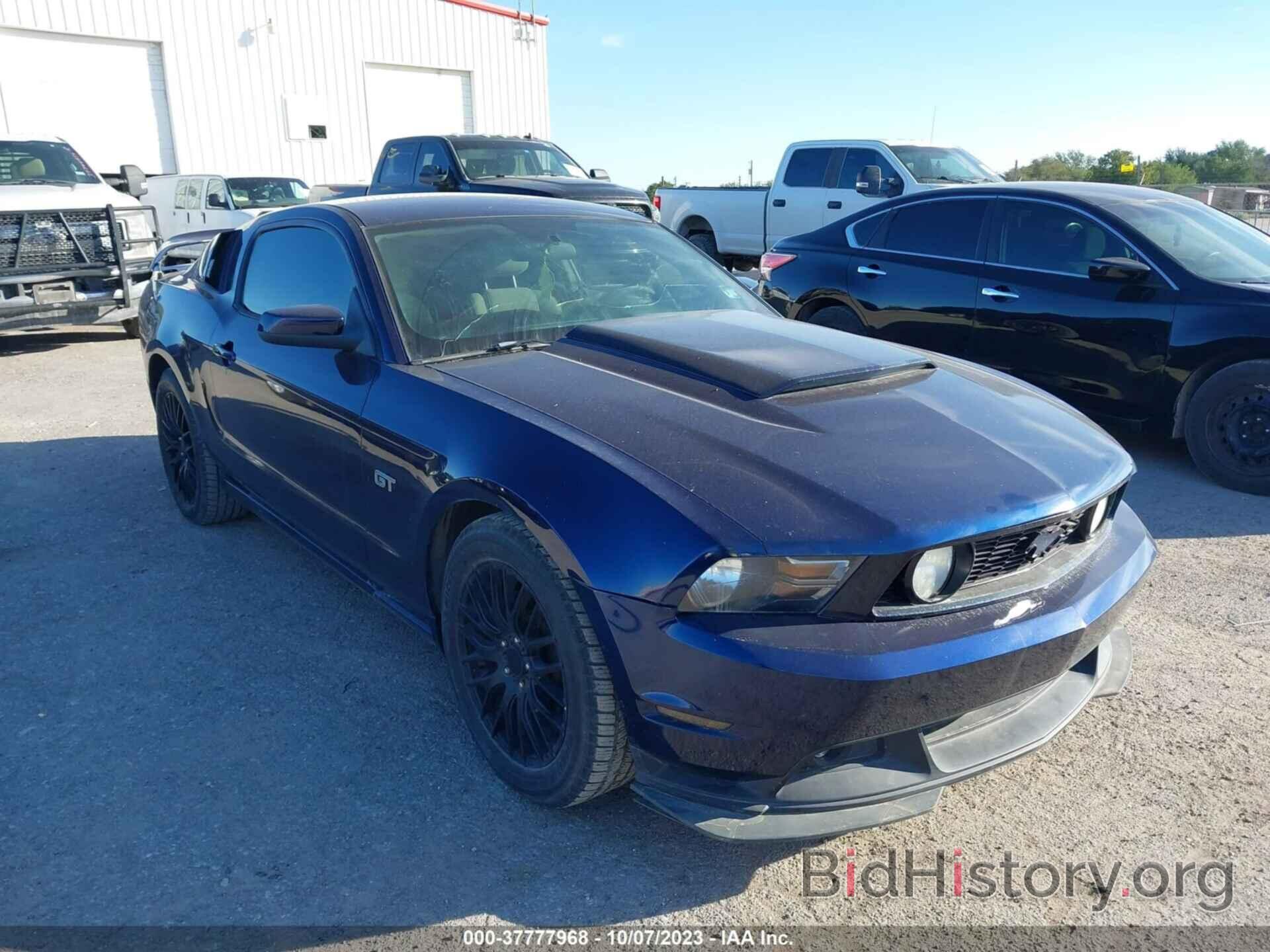 Photo 1ZVBP8CH8A5119601 - FORD MUSTANG 2010