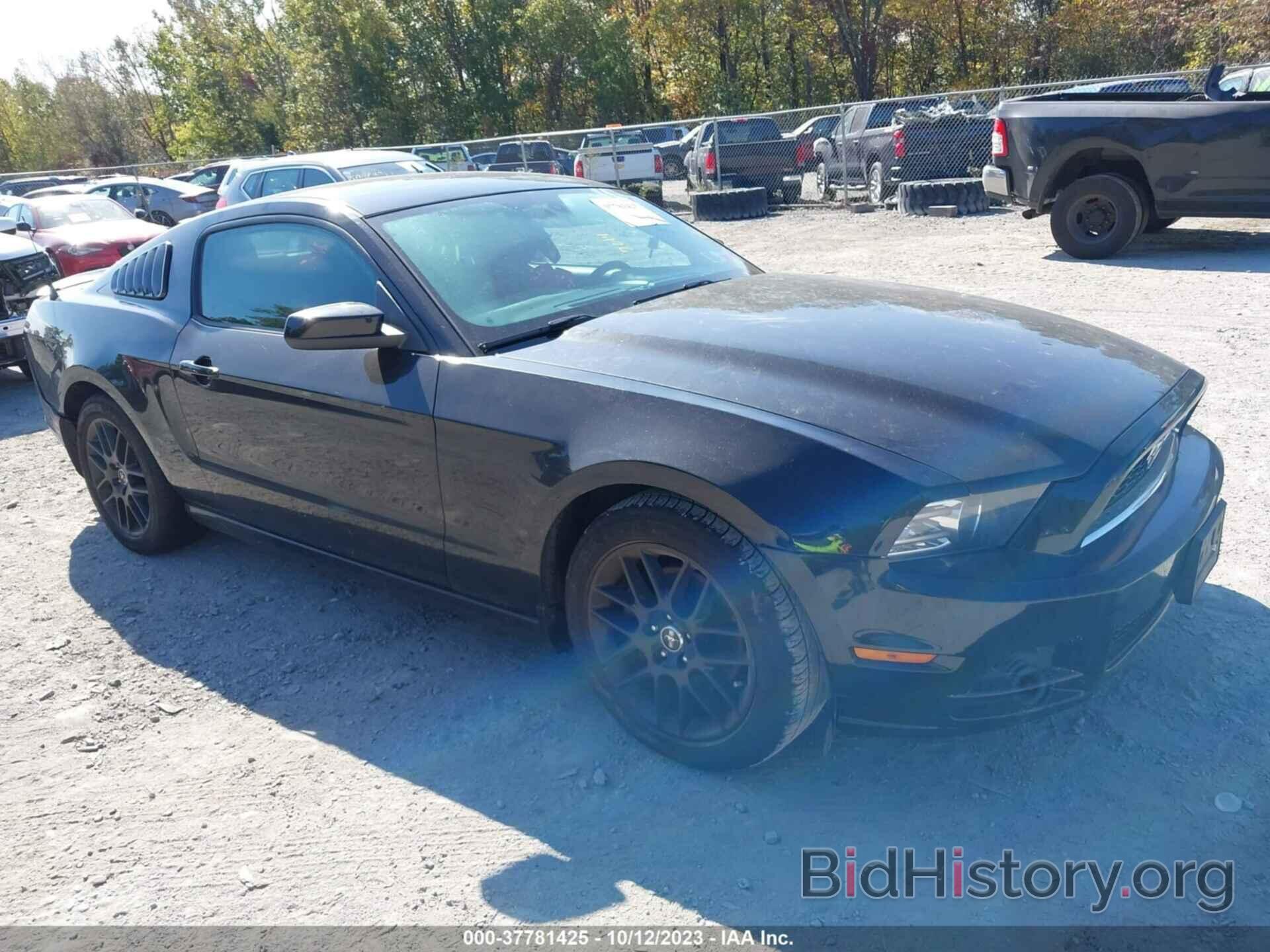 Photo 1ZVBP8AM1E5276246 - FORD MUSTANG 2014