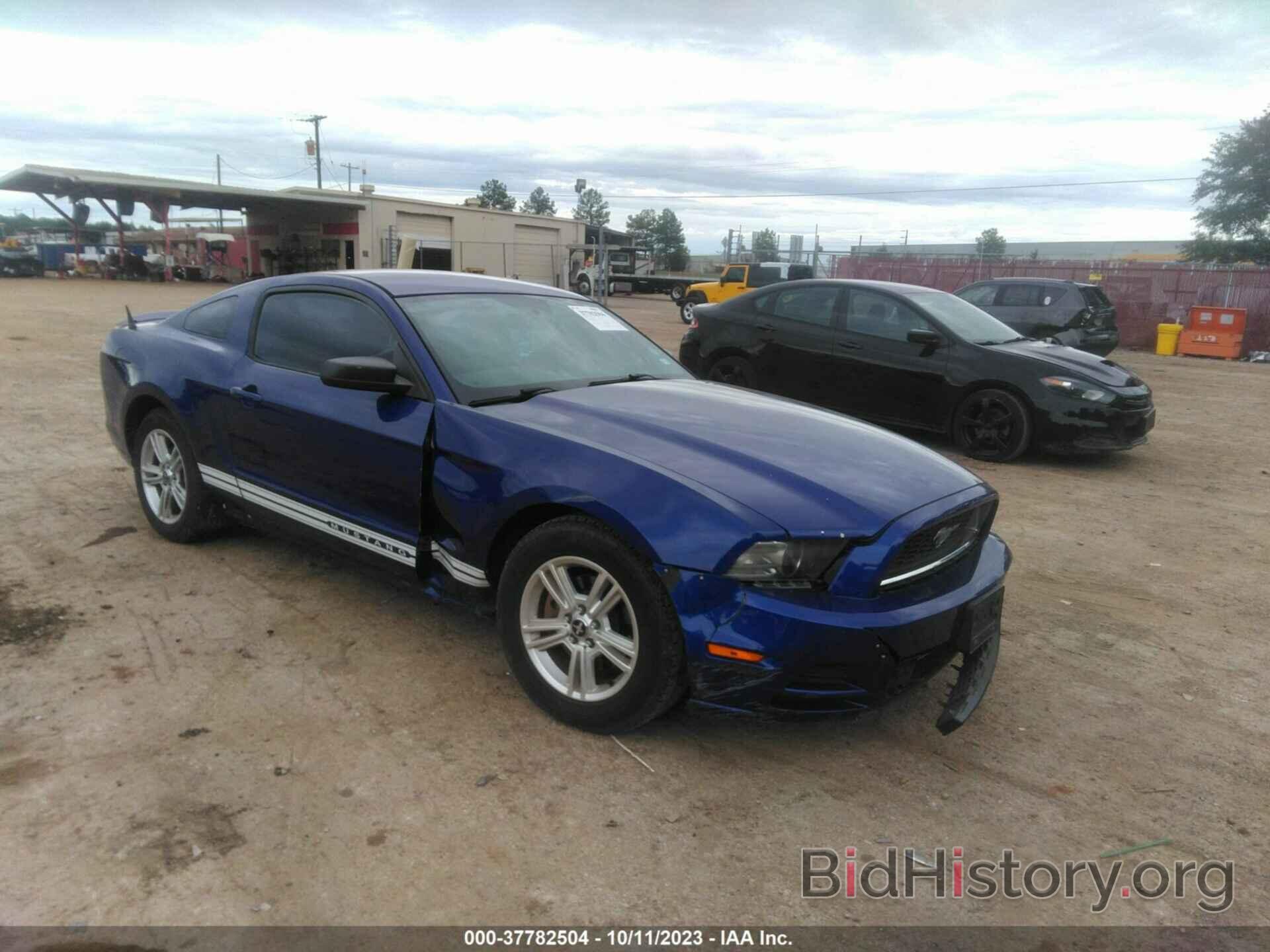 Photo 1ZVBP8AM4D5274621 - FORD MUSTANG 2013