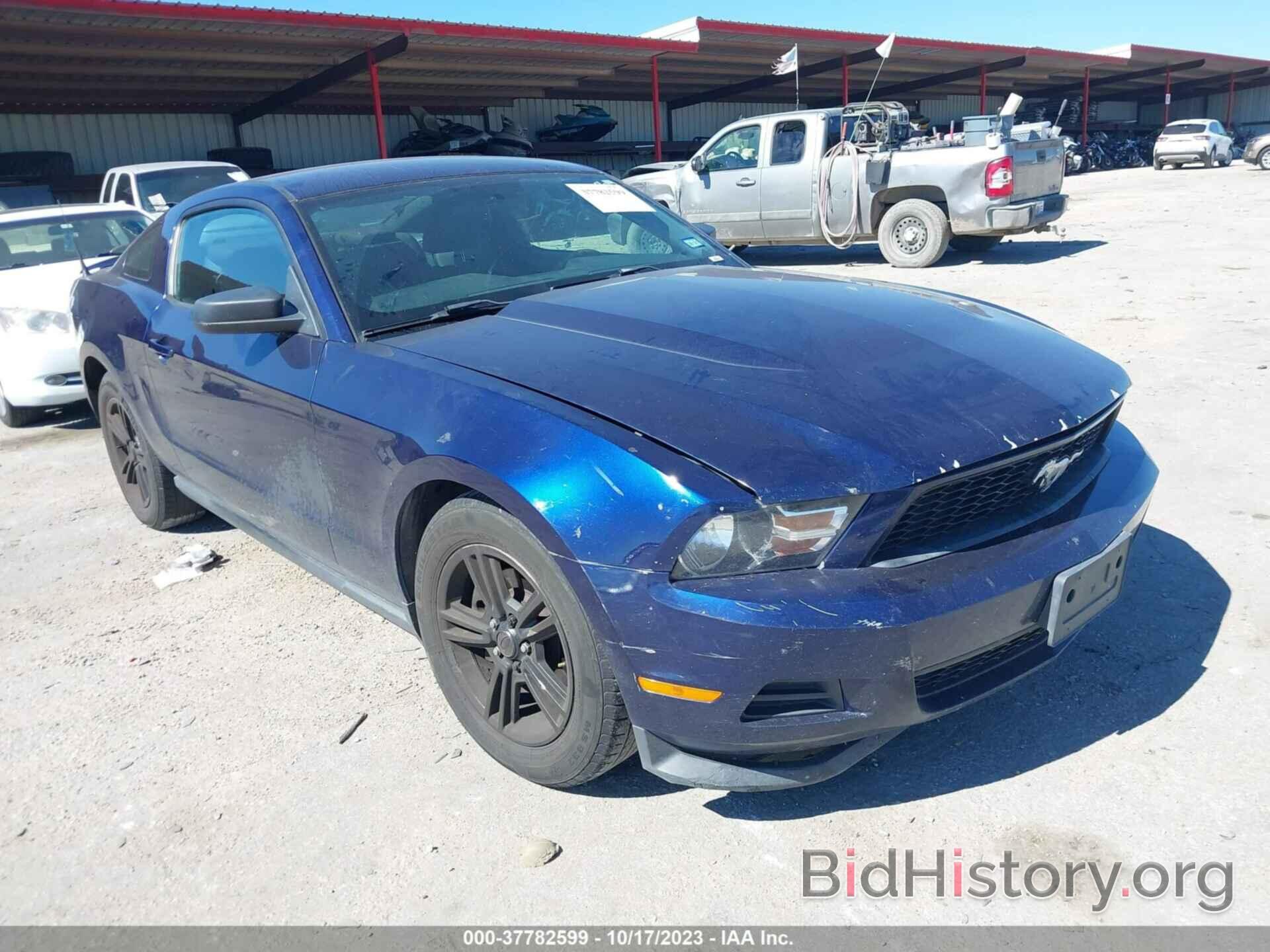 Photo 1ZVBP8AMXC5210615 - FORD MUSTANG 2012