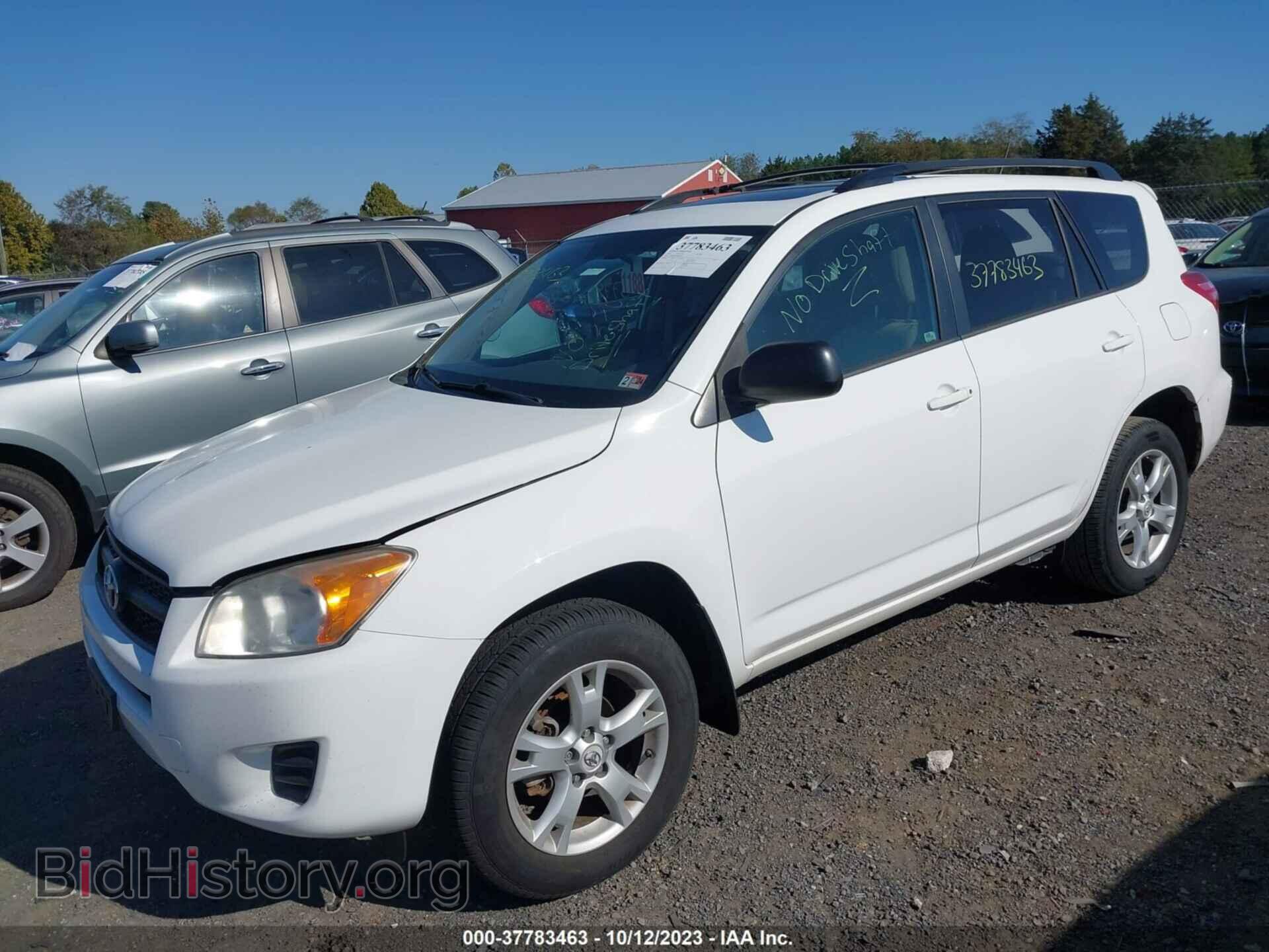 2012 TOYOTA RAV4 - VIN: 2T3BF4DV6CW192688 - Фото 2