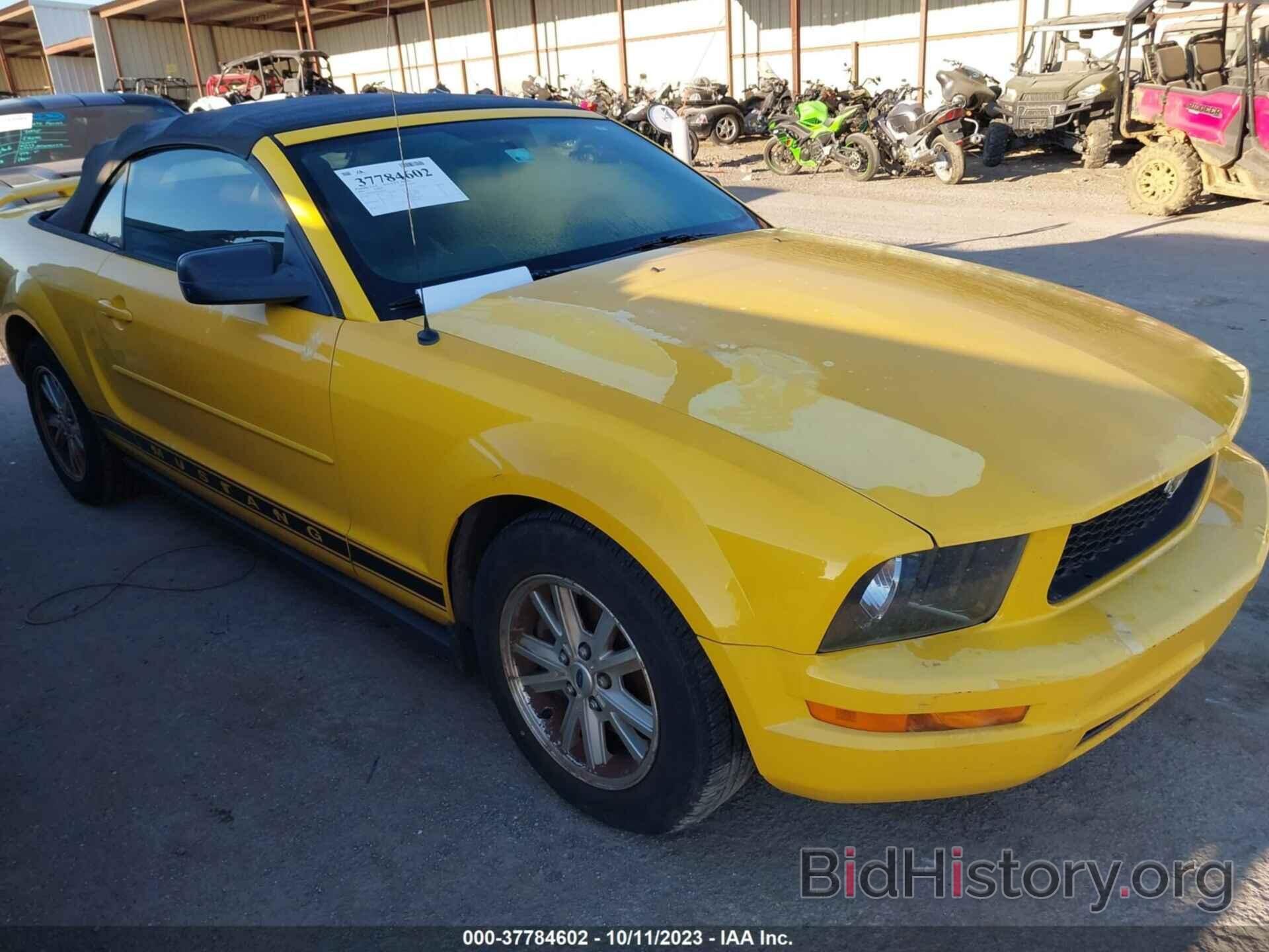 Photo 1ZVFT84N665202324 - FORD MUSTANG 2006